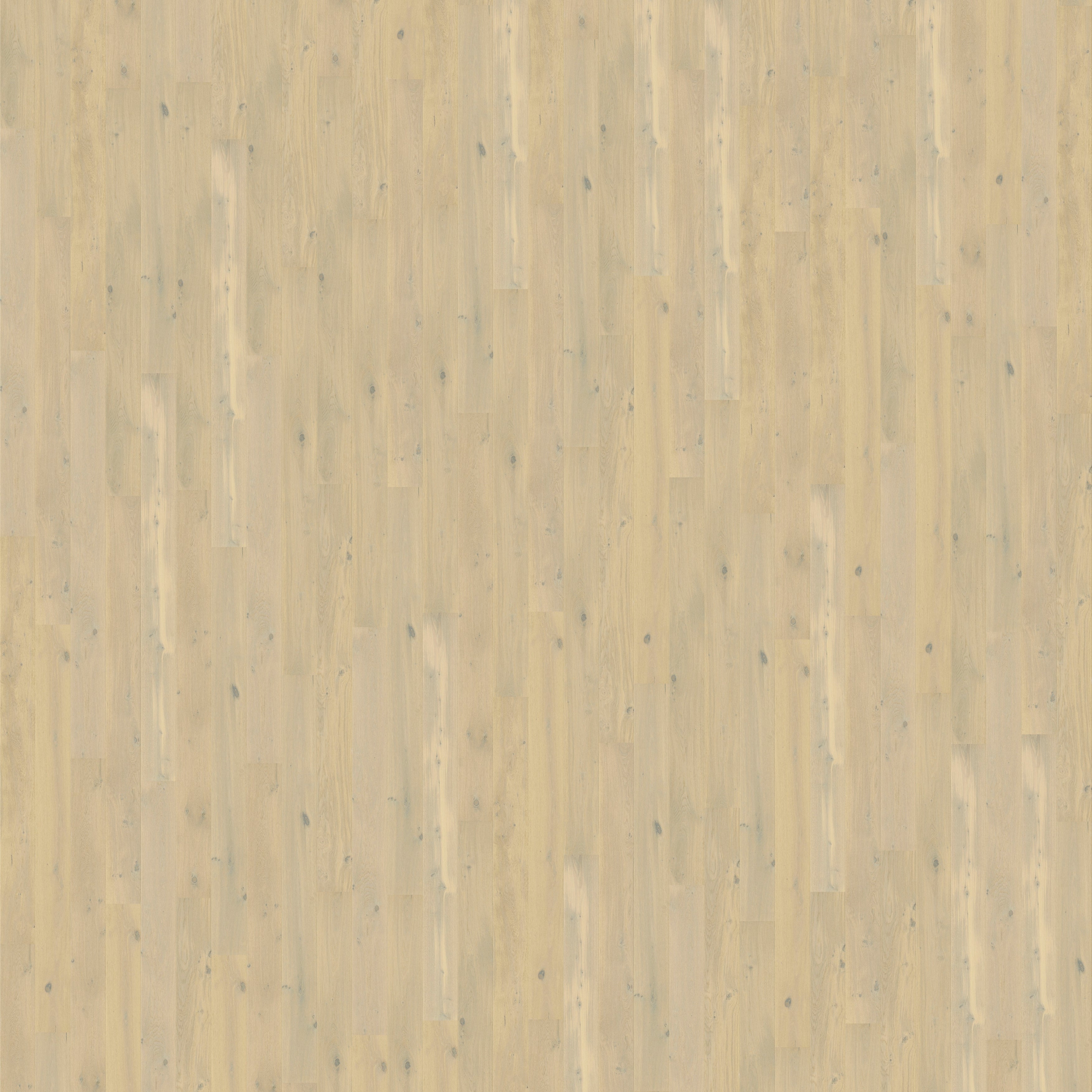 Wide Plank | Des Kelly