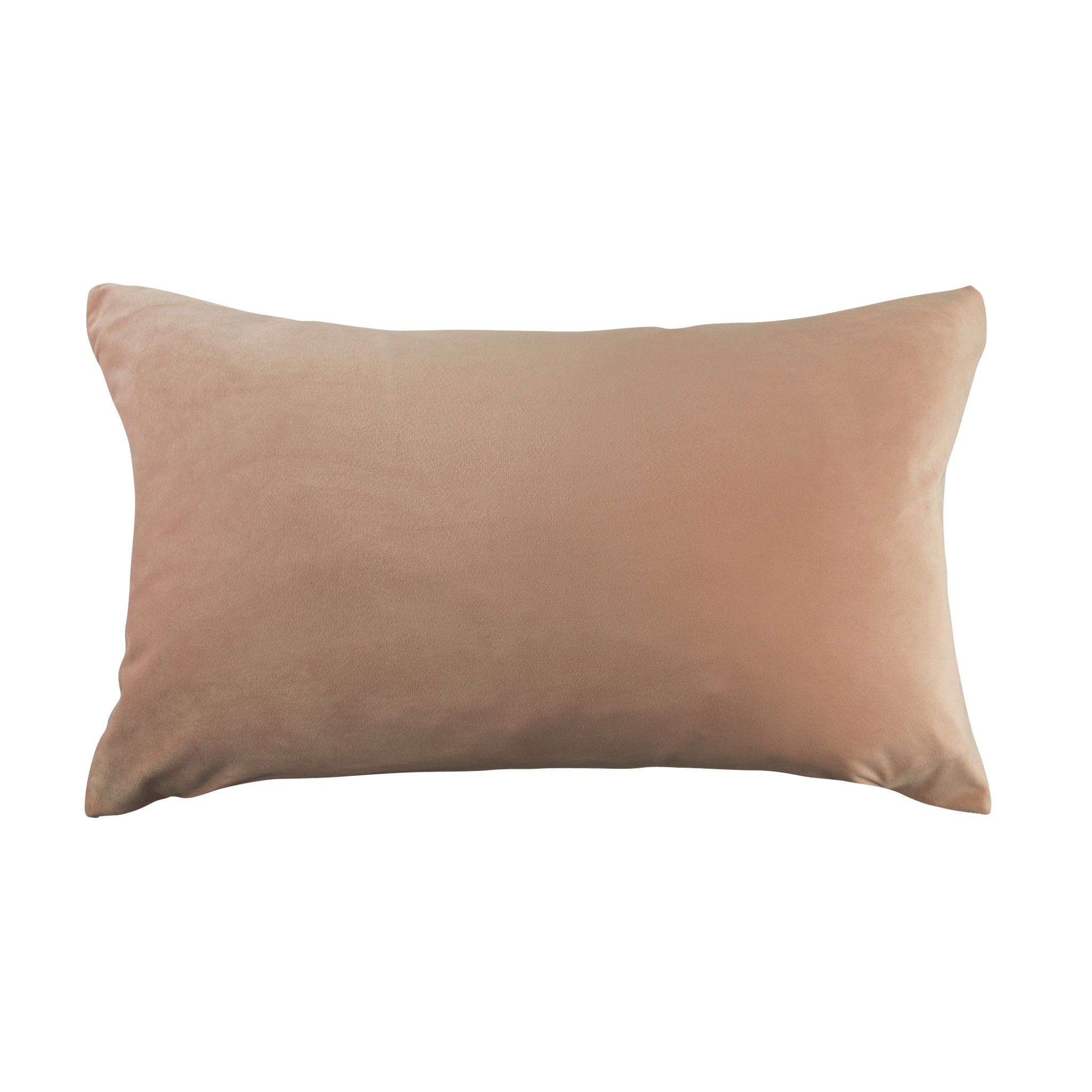 Hudson Velour Cushion (Sold in 2's)