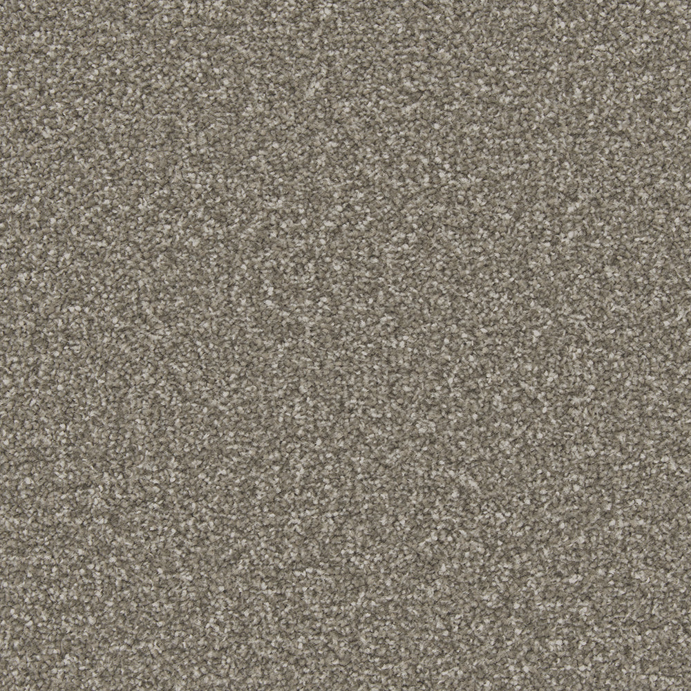 Cinder Grey