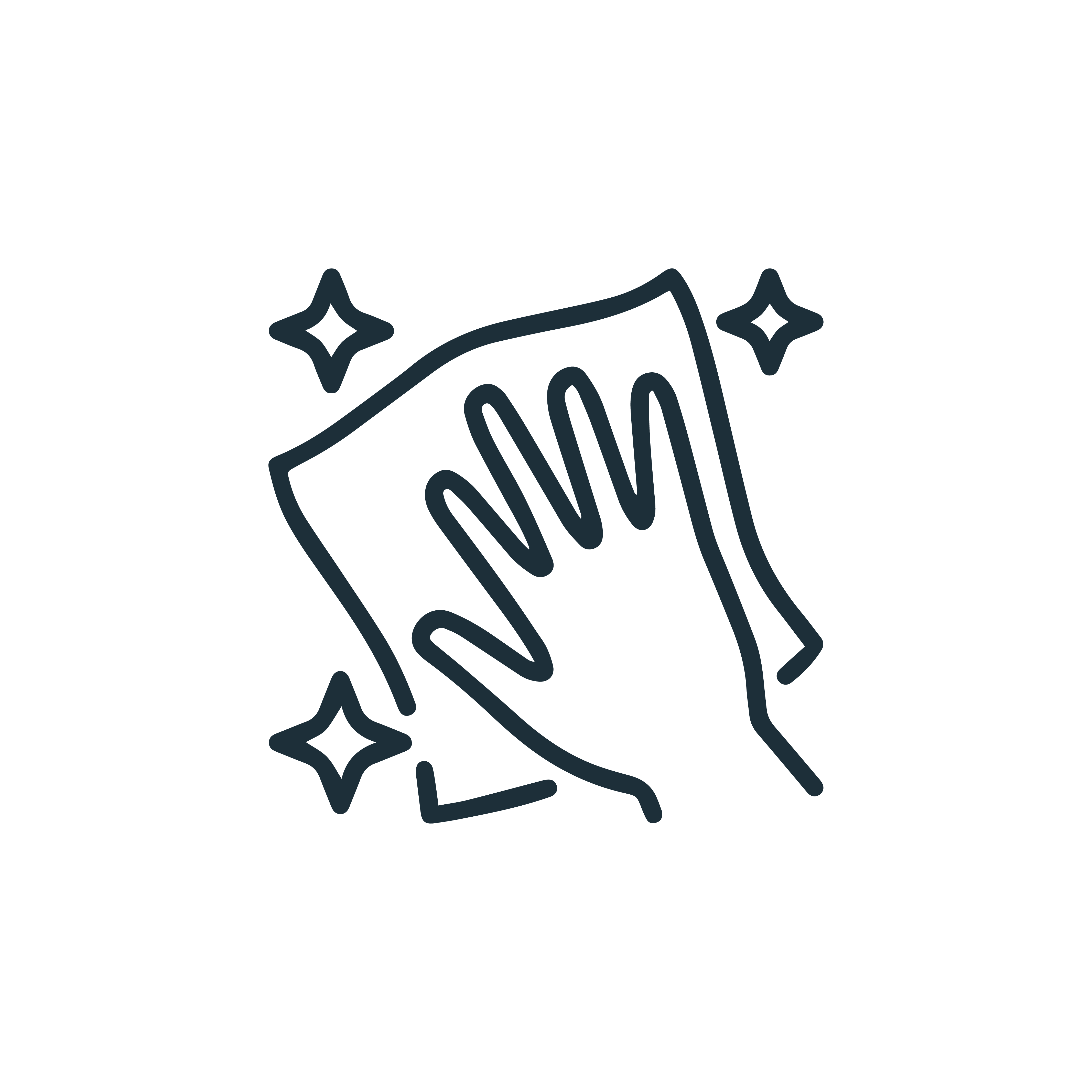 Easy cleaning icon