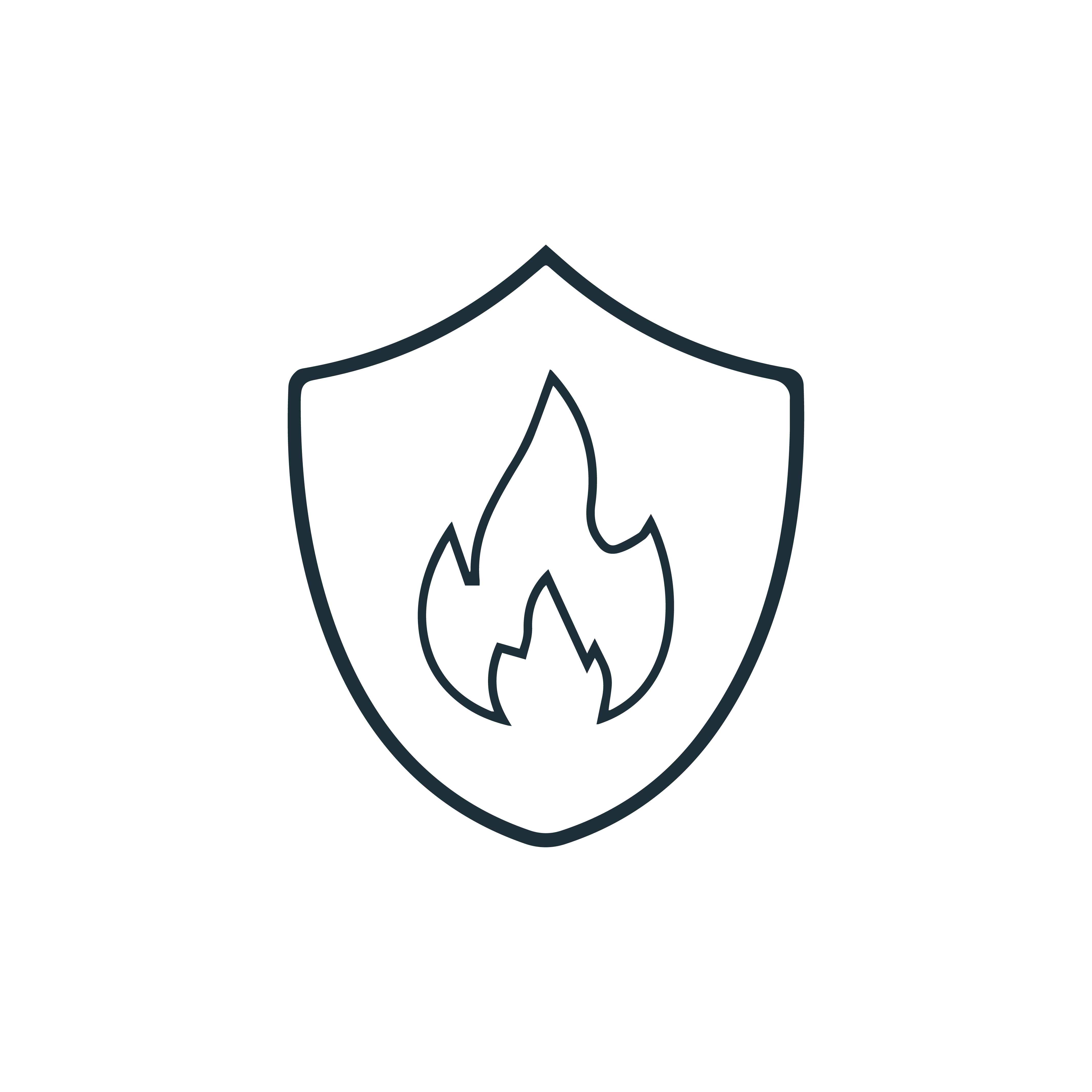 Fire Retardant icon
