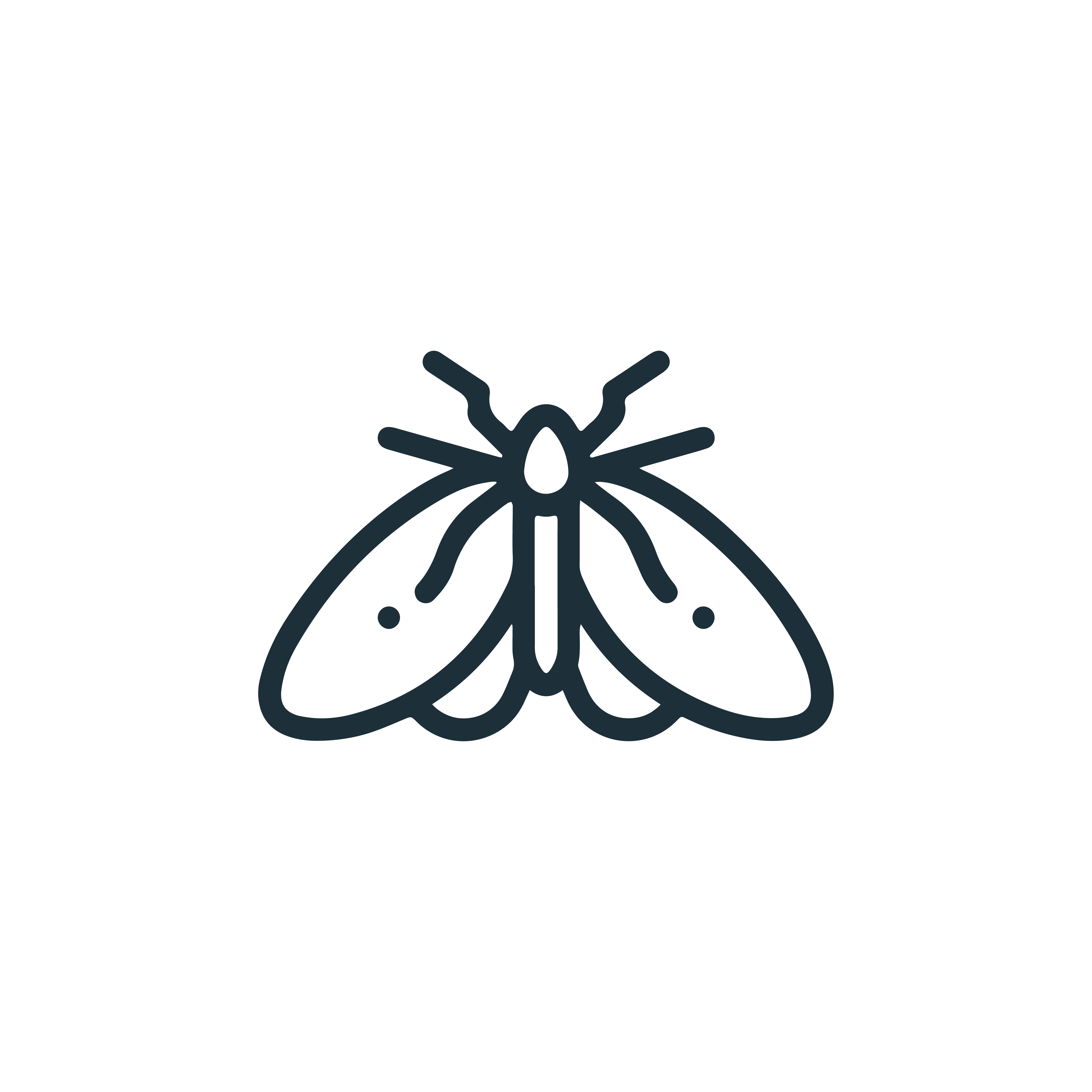 Moth Resistant icon
