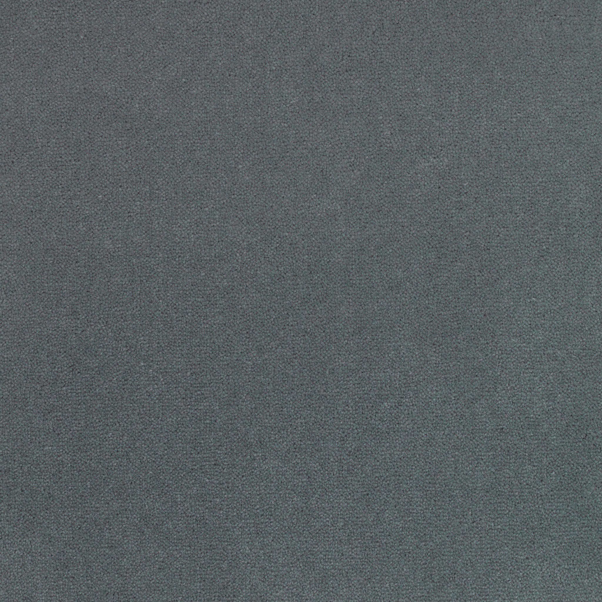 Nascot