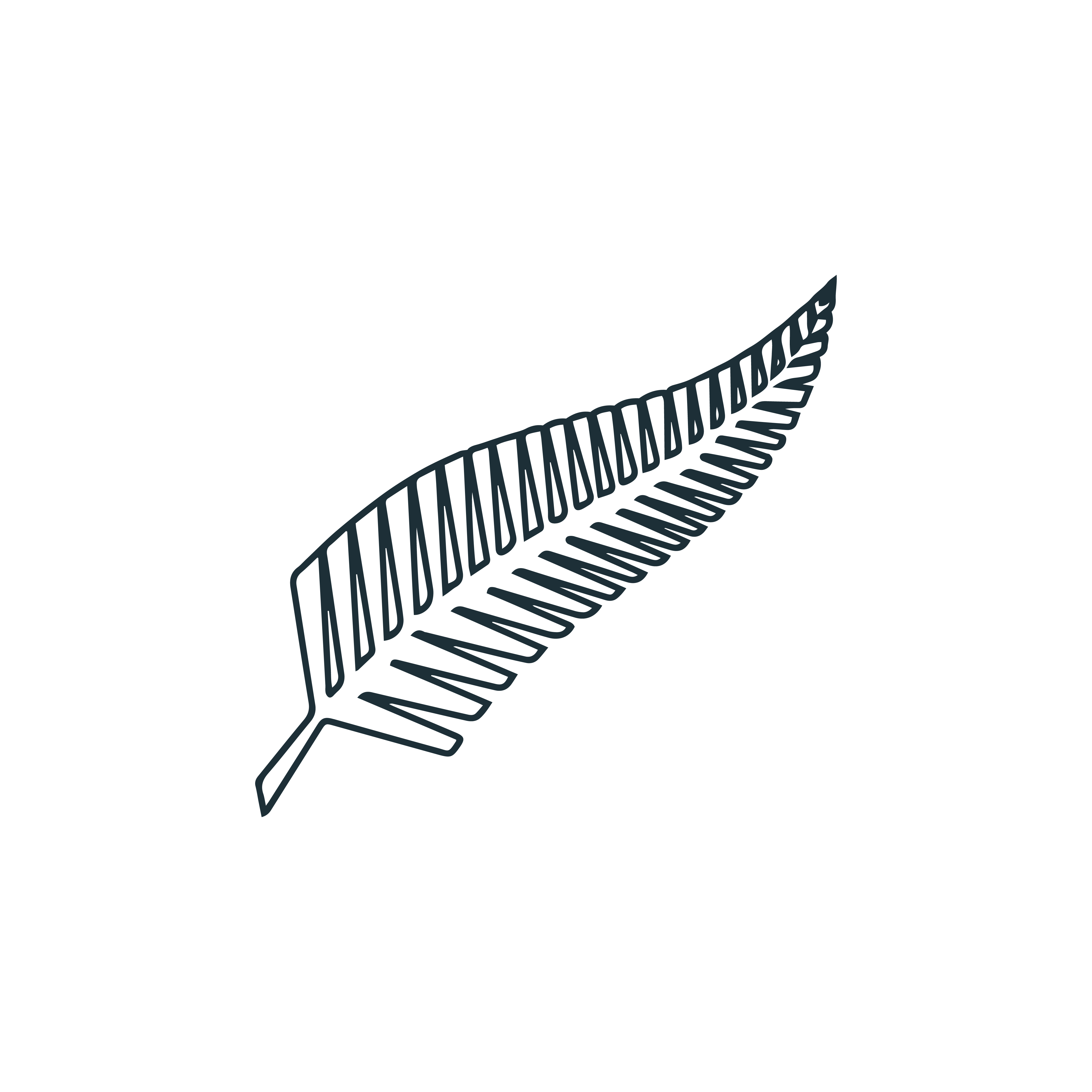 New Zealand Wool icon