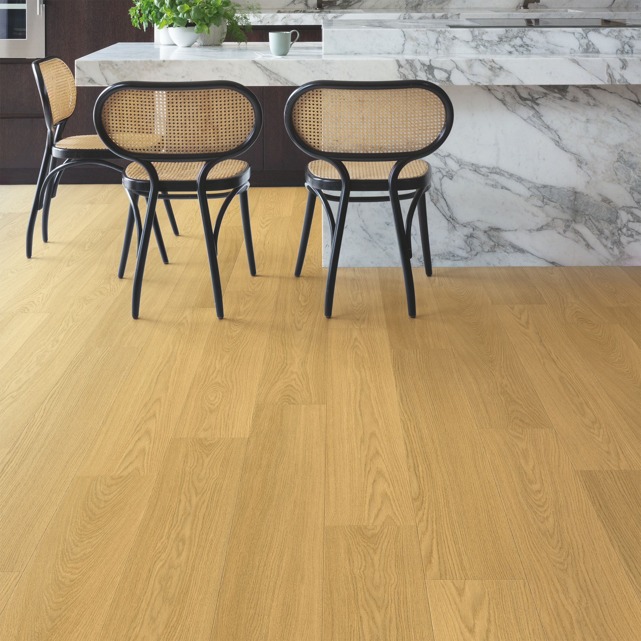 Capture - Natural Varnished Oak SIG4749