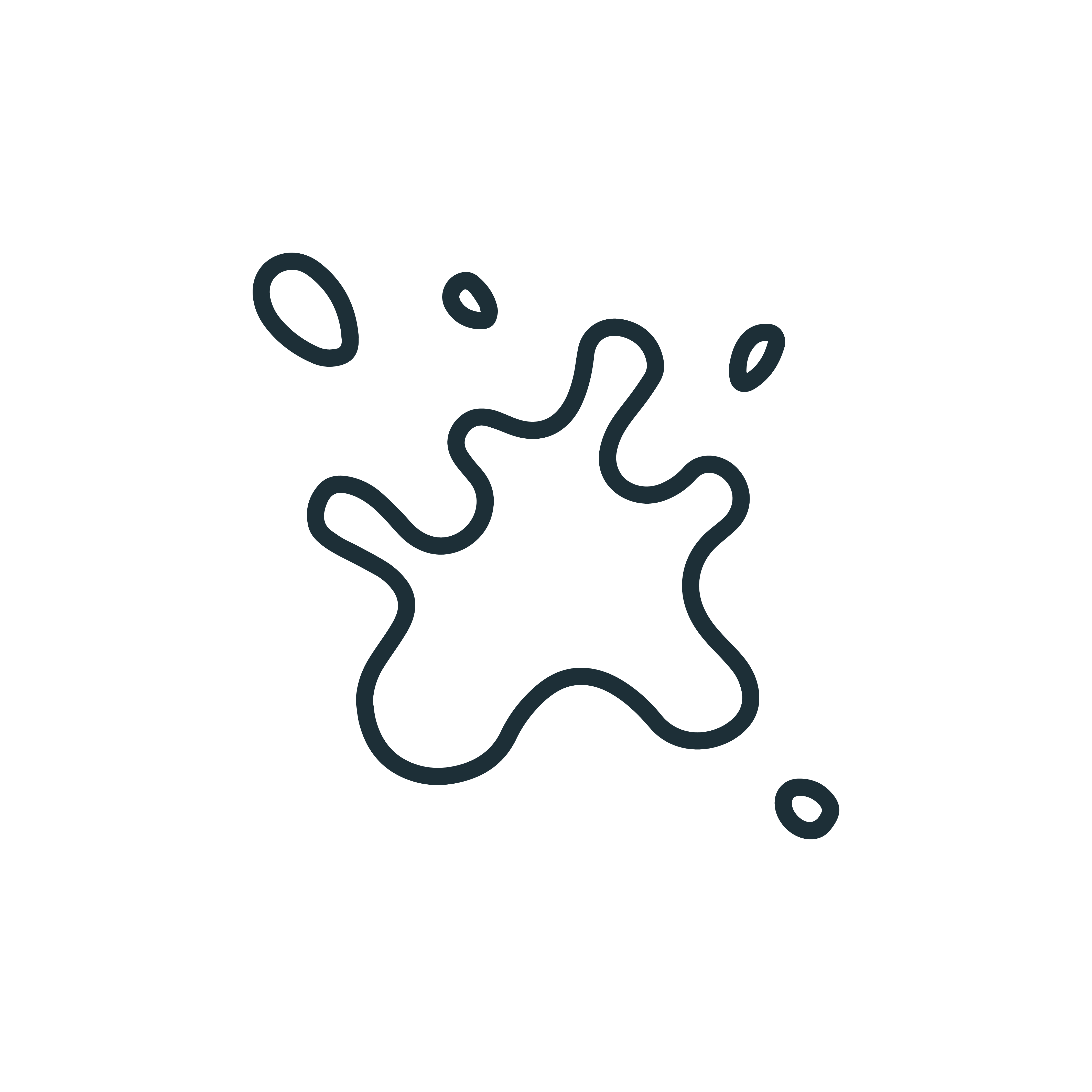 Stain resistant icon