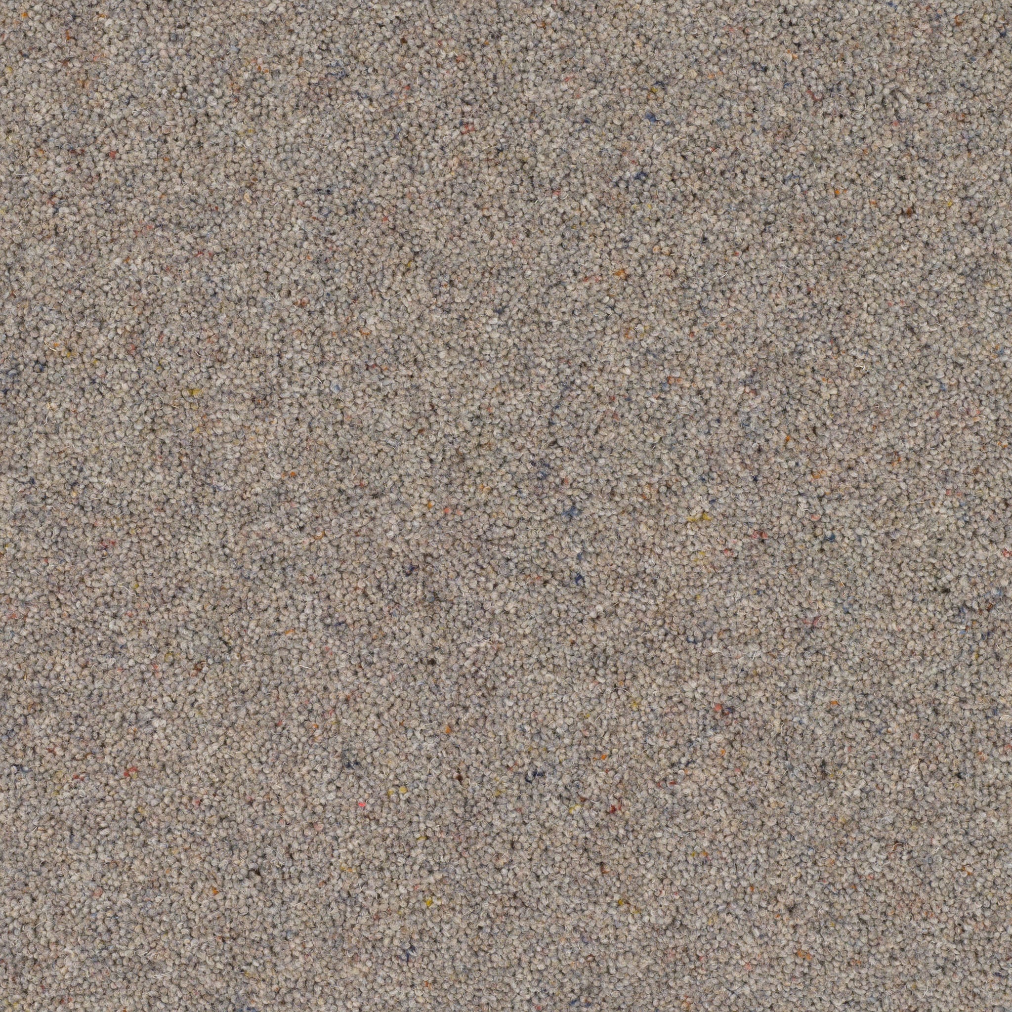 Shadow Grey