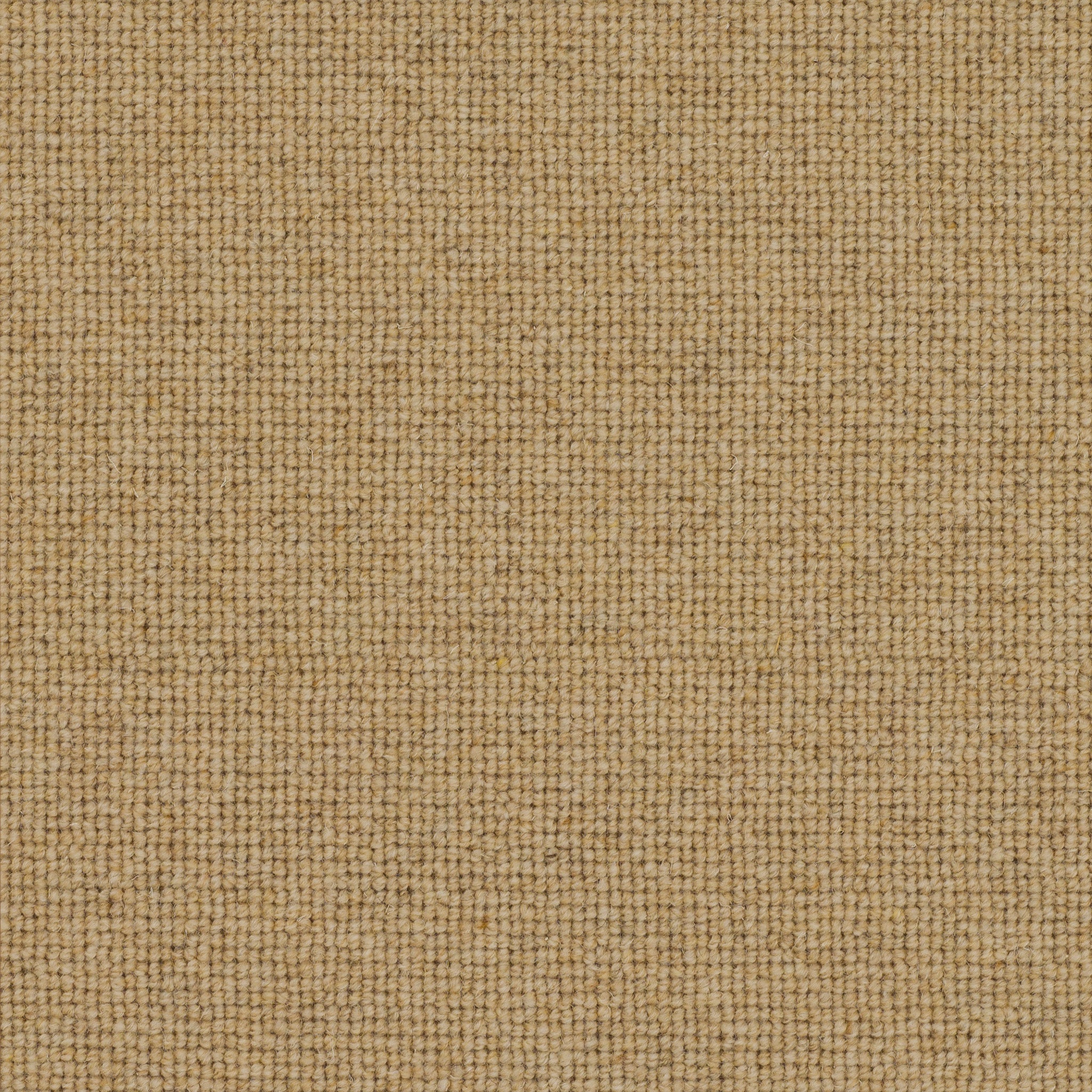 Chickpea