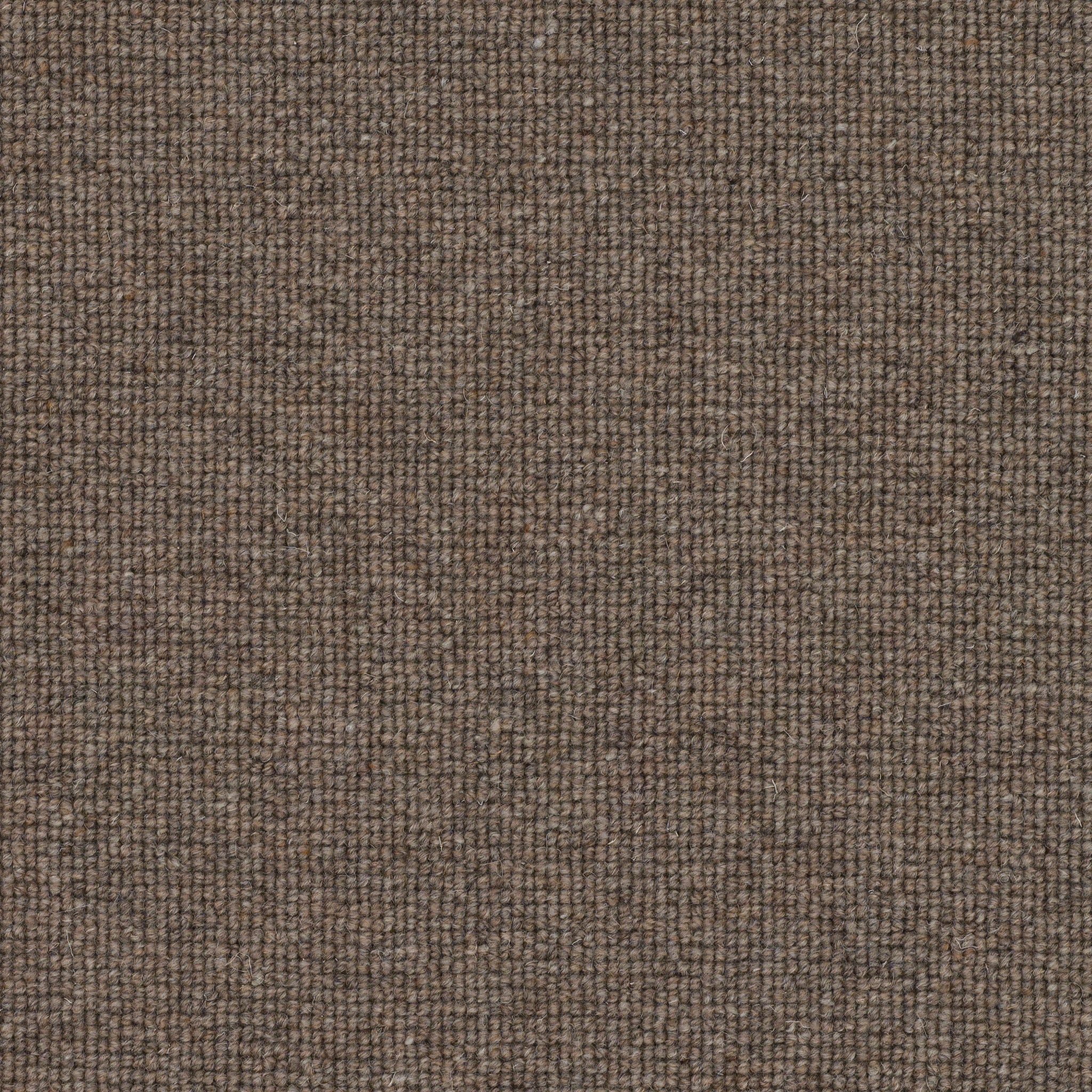 Chestnut