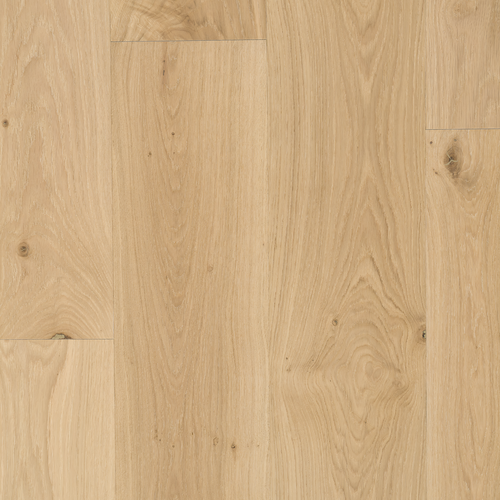 Elite Oak 102 gallery image