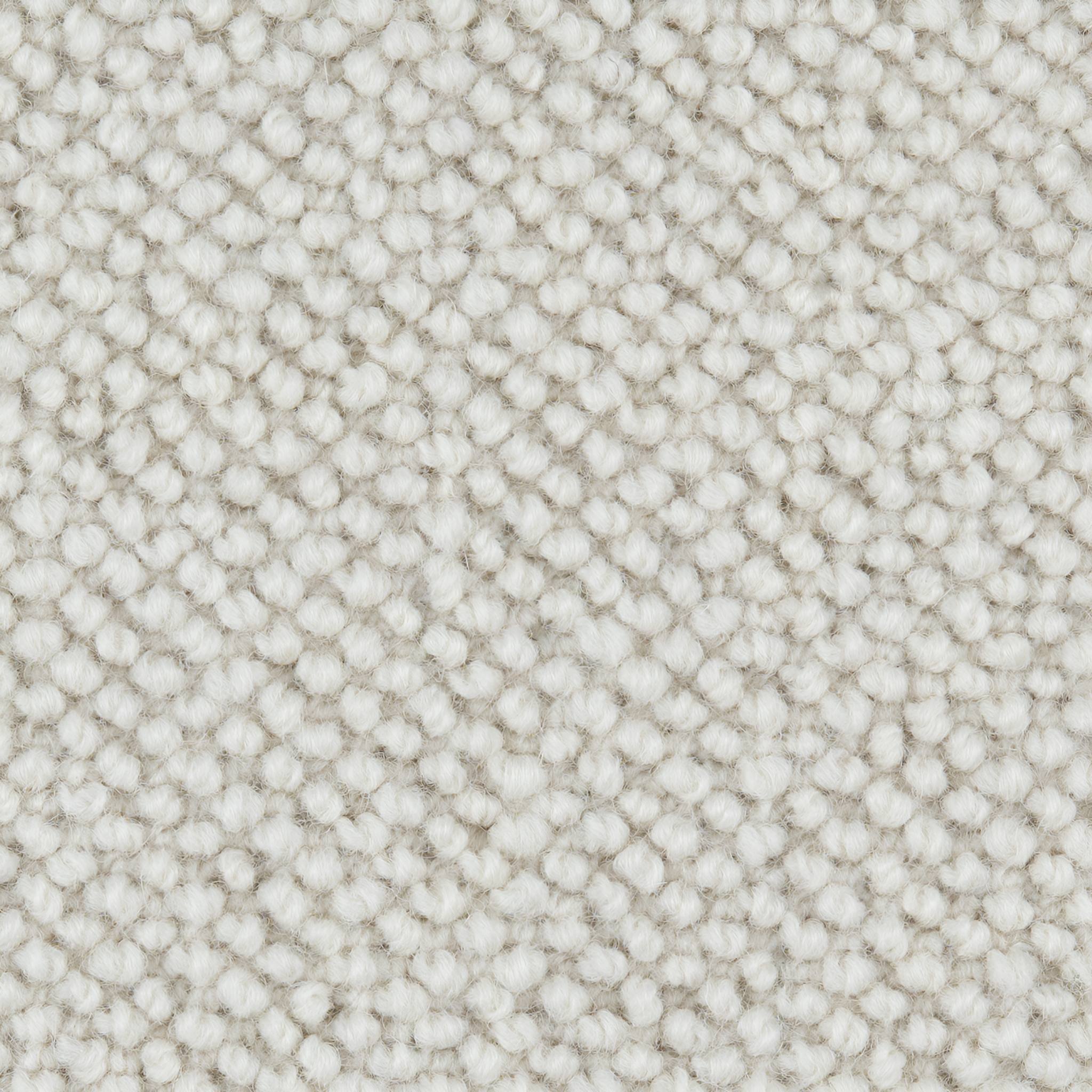 Wool Maldives Nautilus