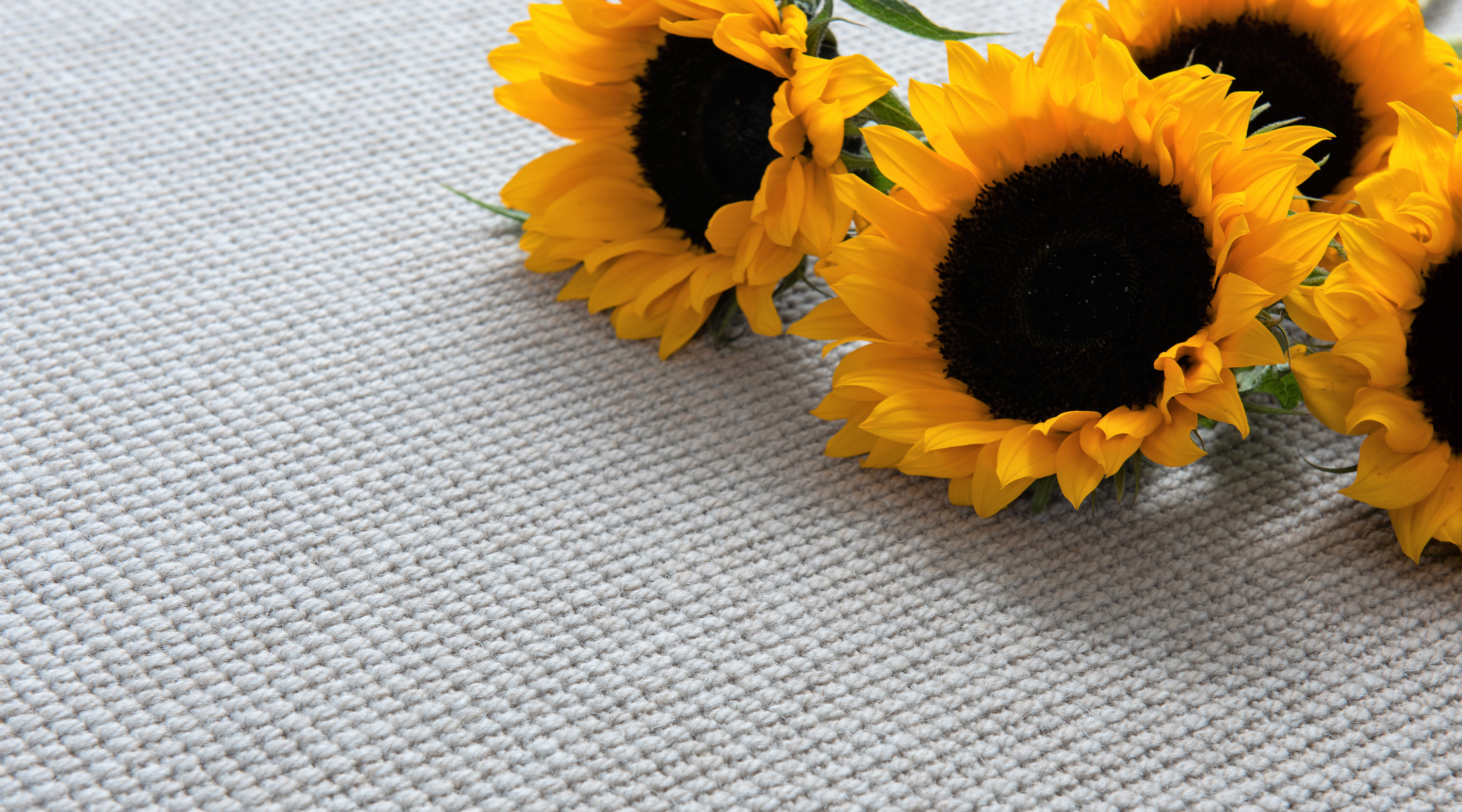 Flatweave Classic Linear