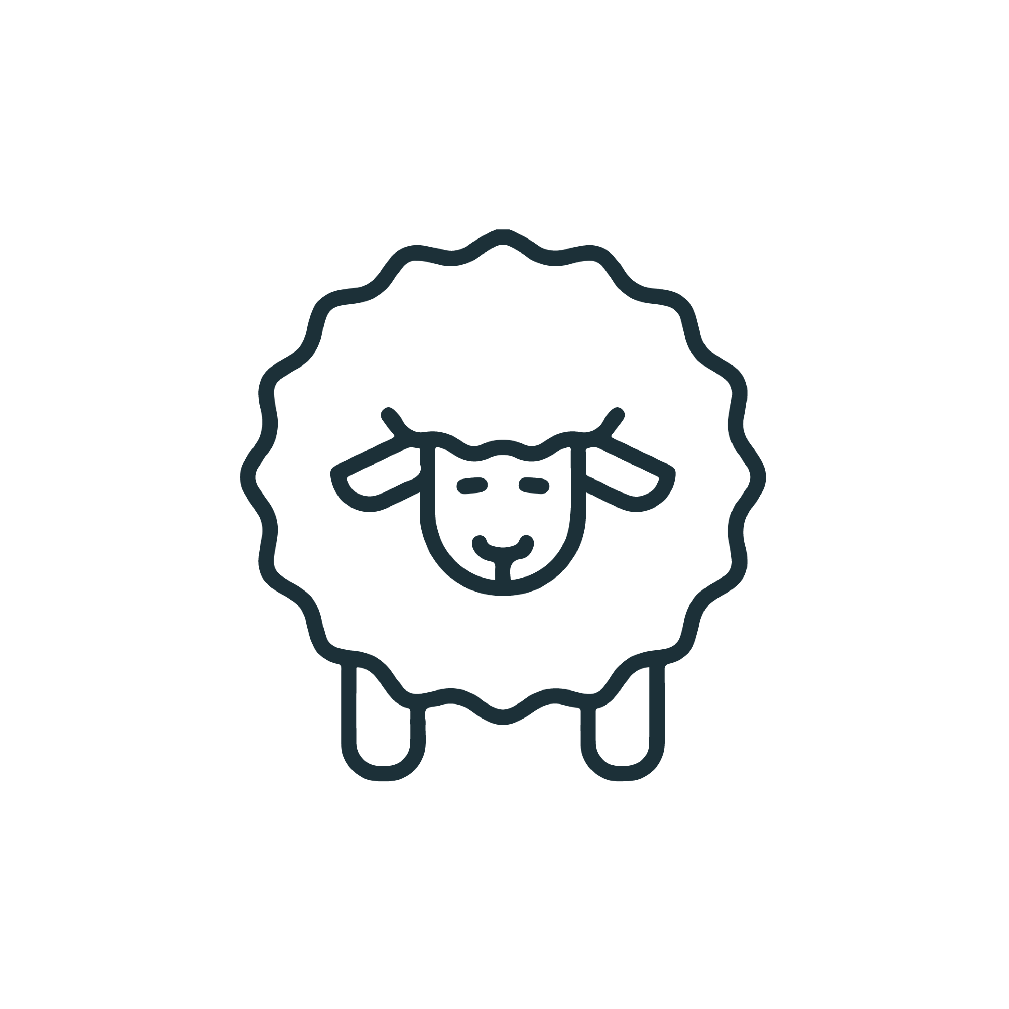 10% Wool icon