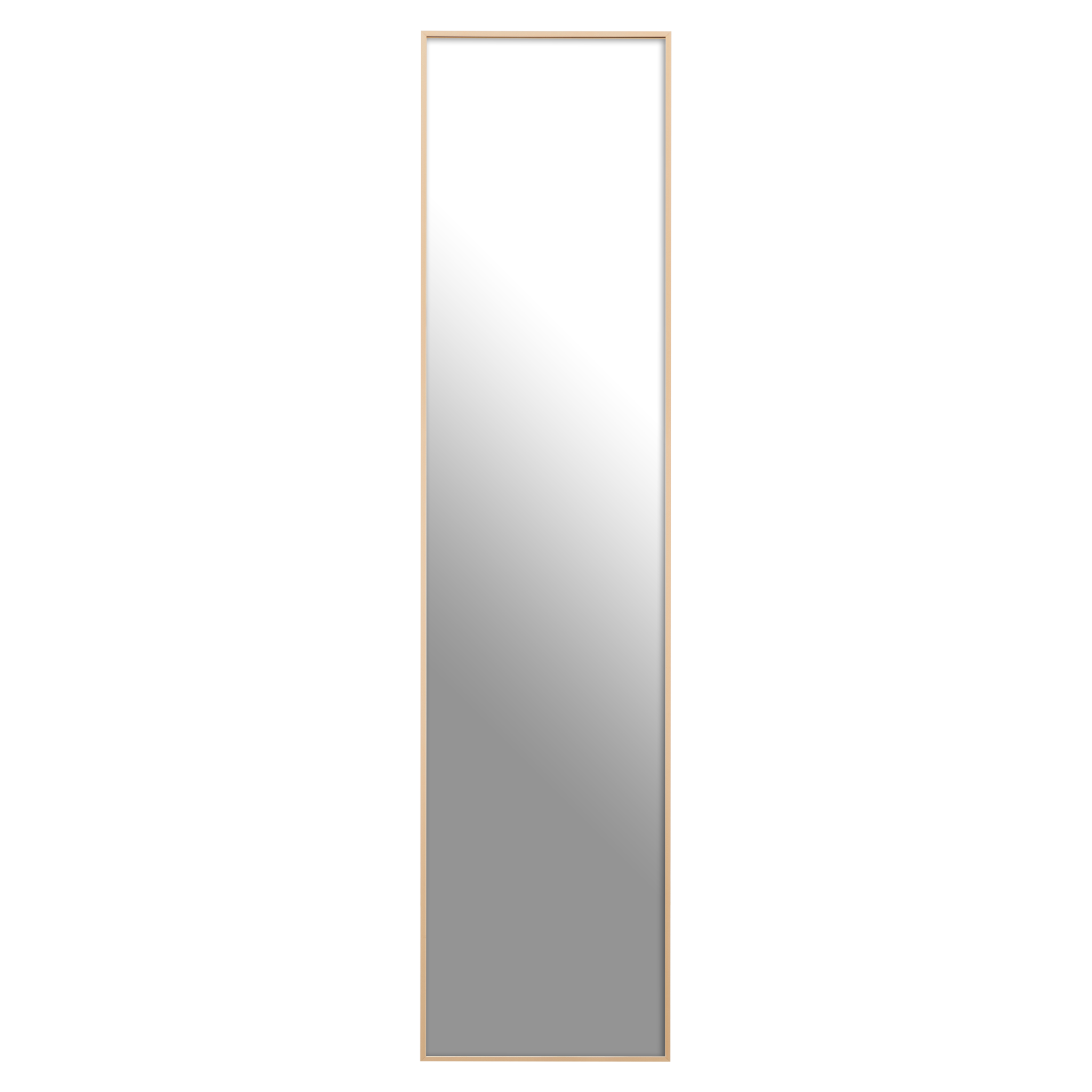 Bradwall Floor Mirror