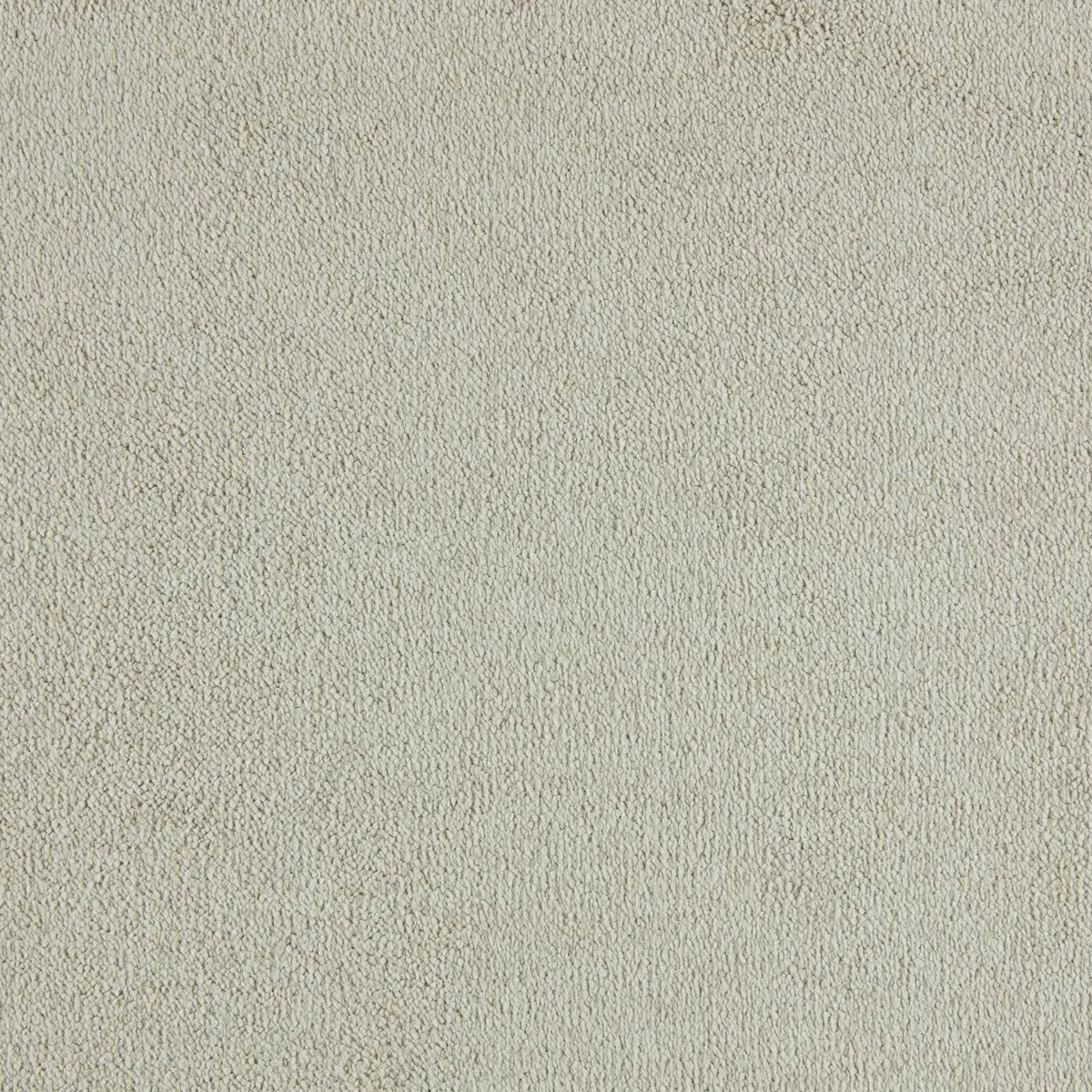 Sahara