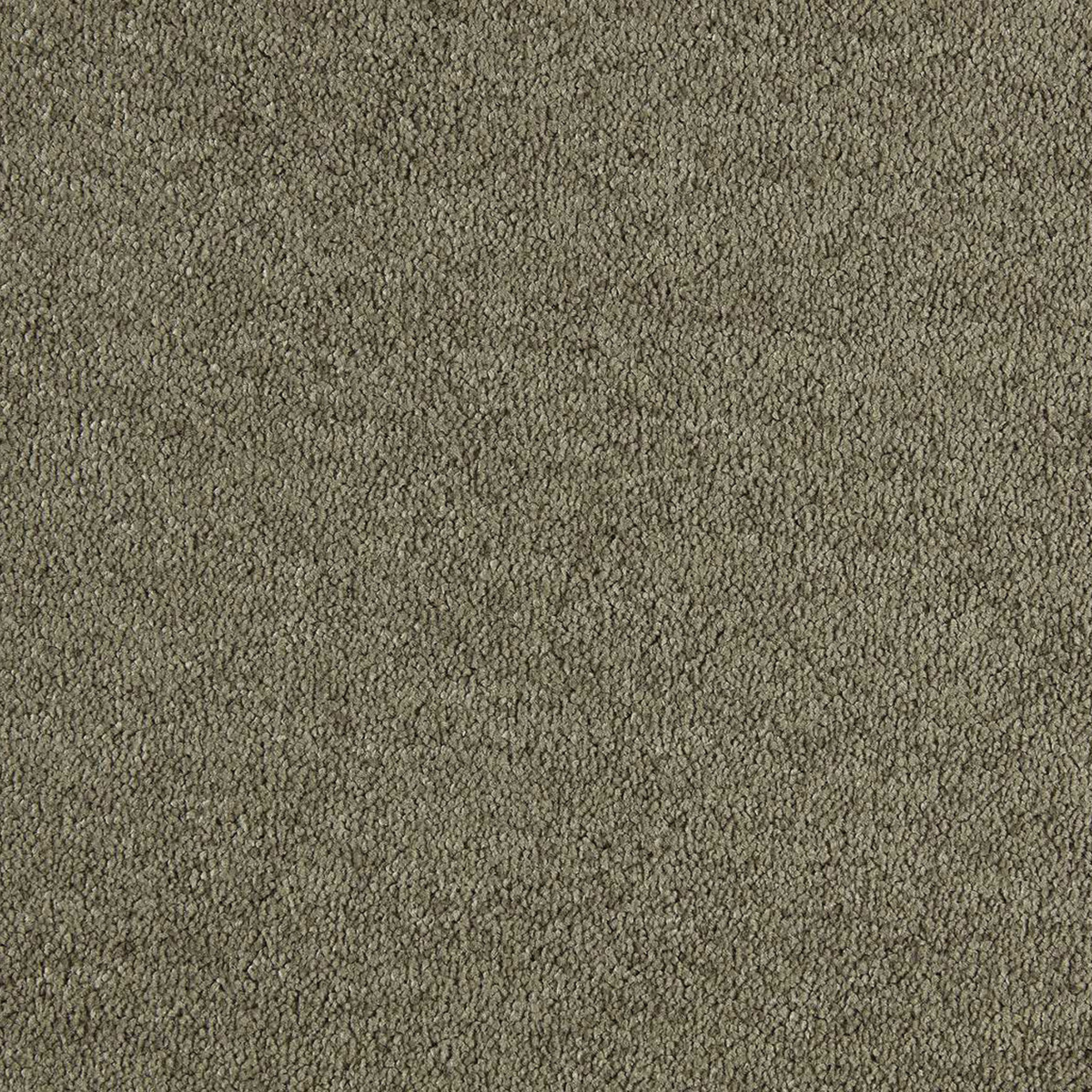 Chestnut 190