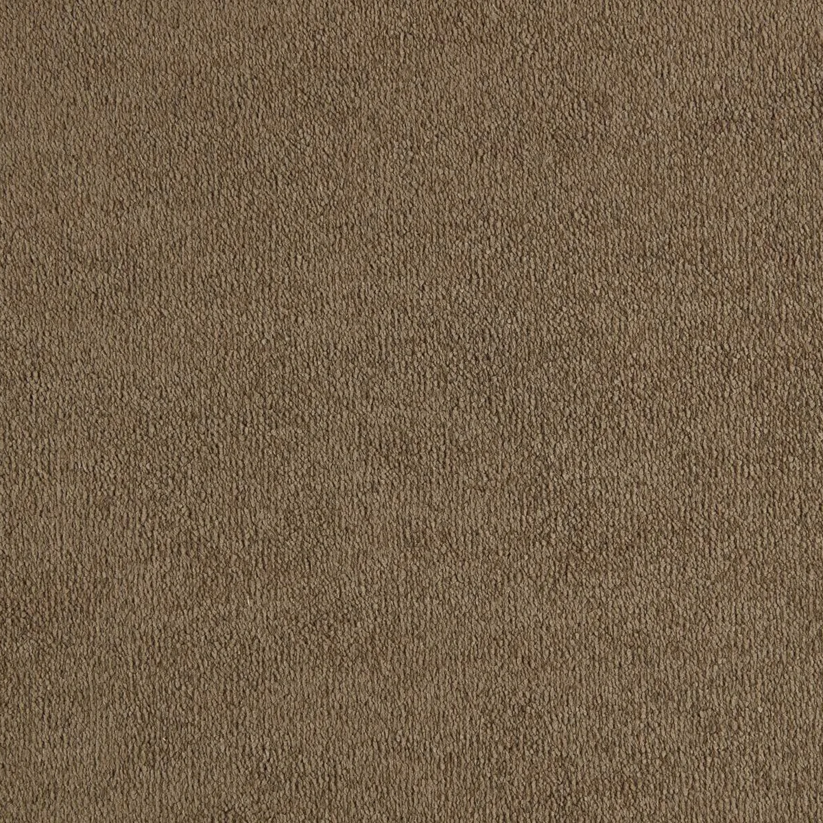 Sahara