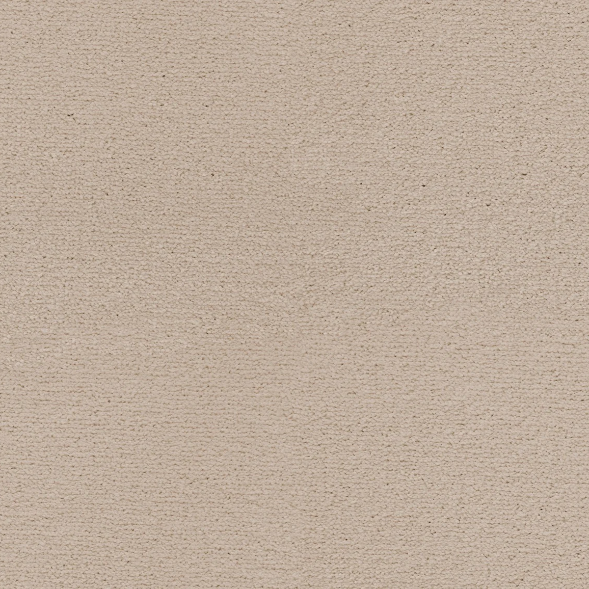 Sahara