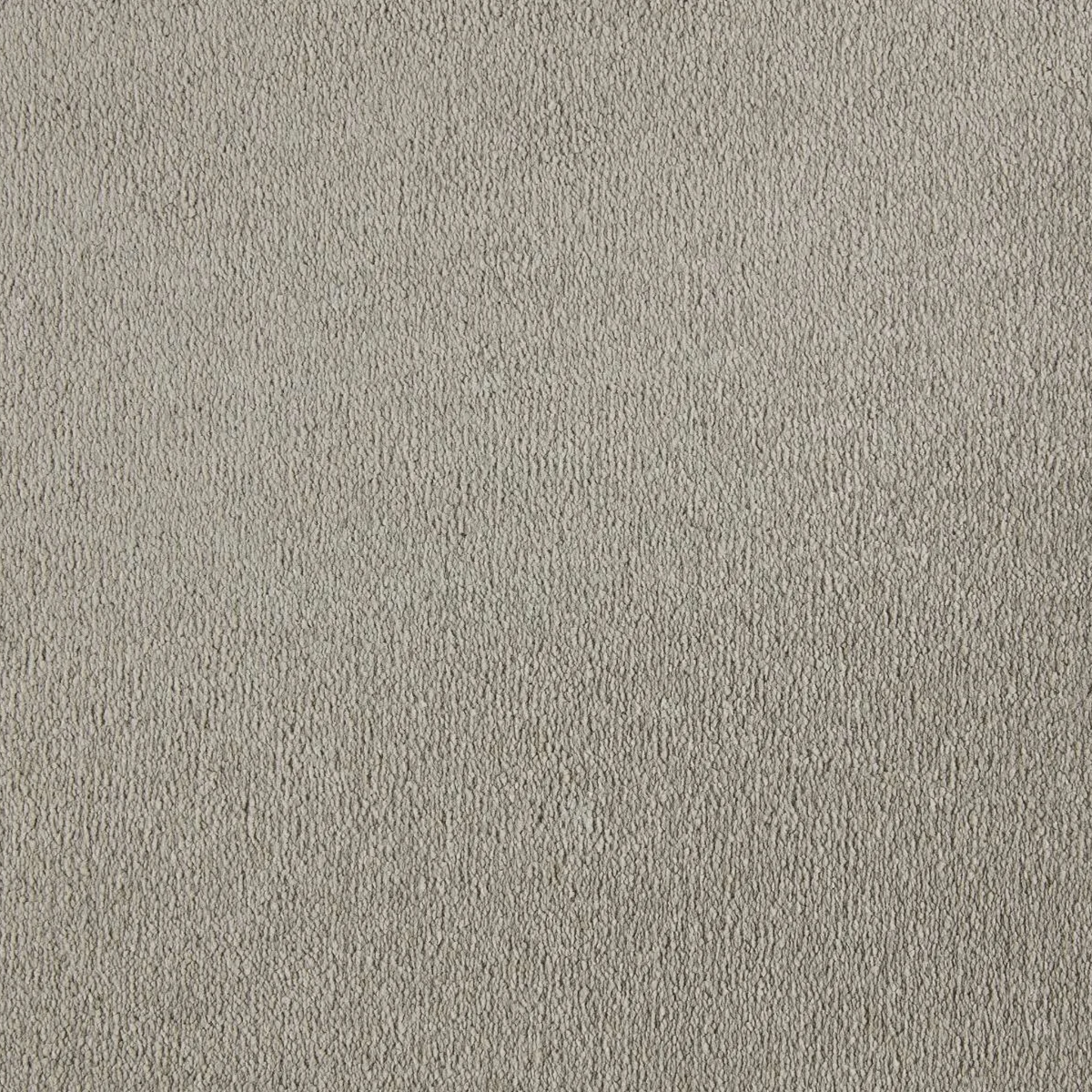 Sahara