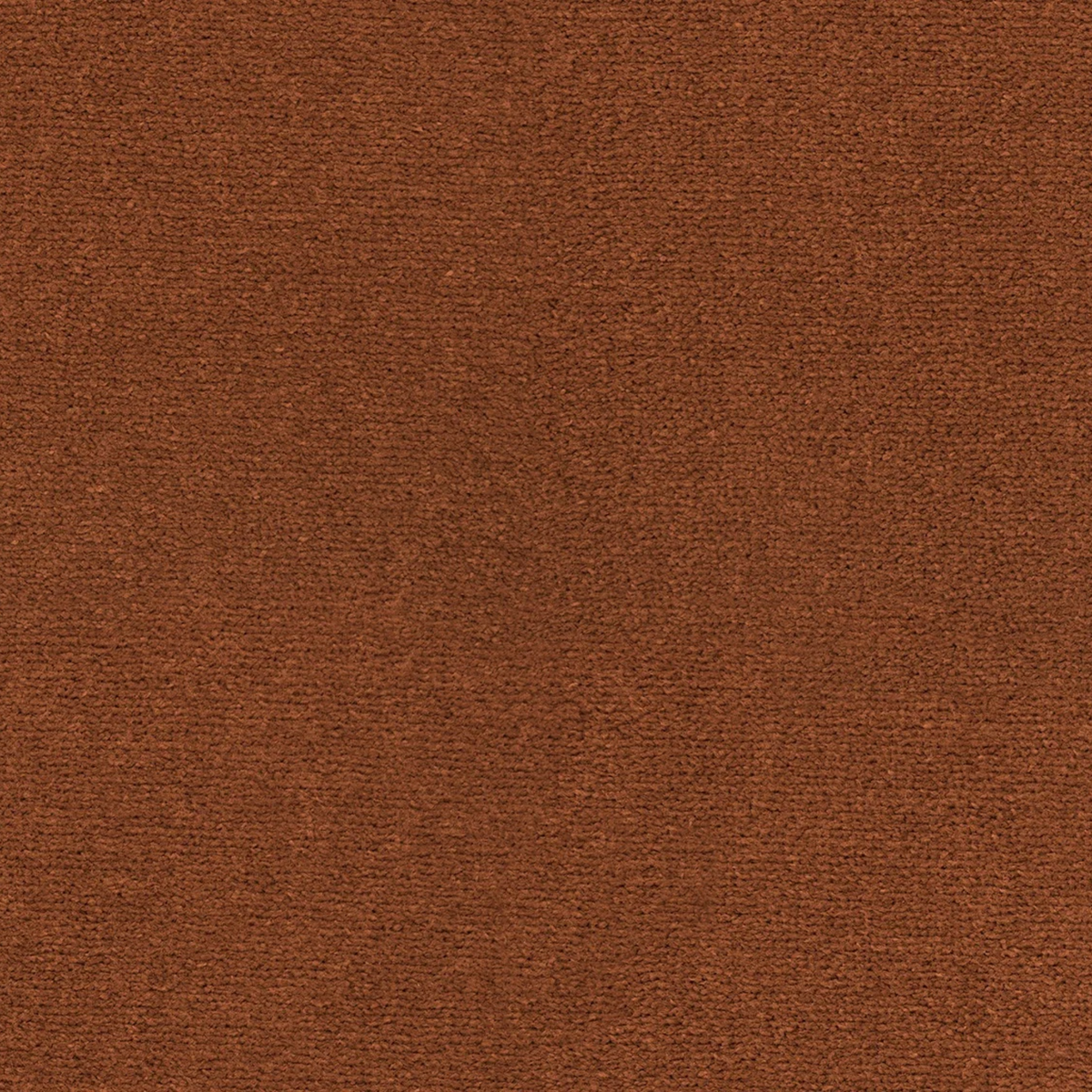 Sahara