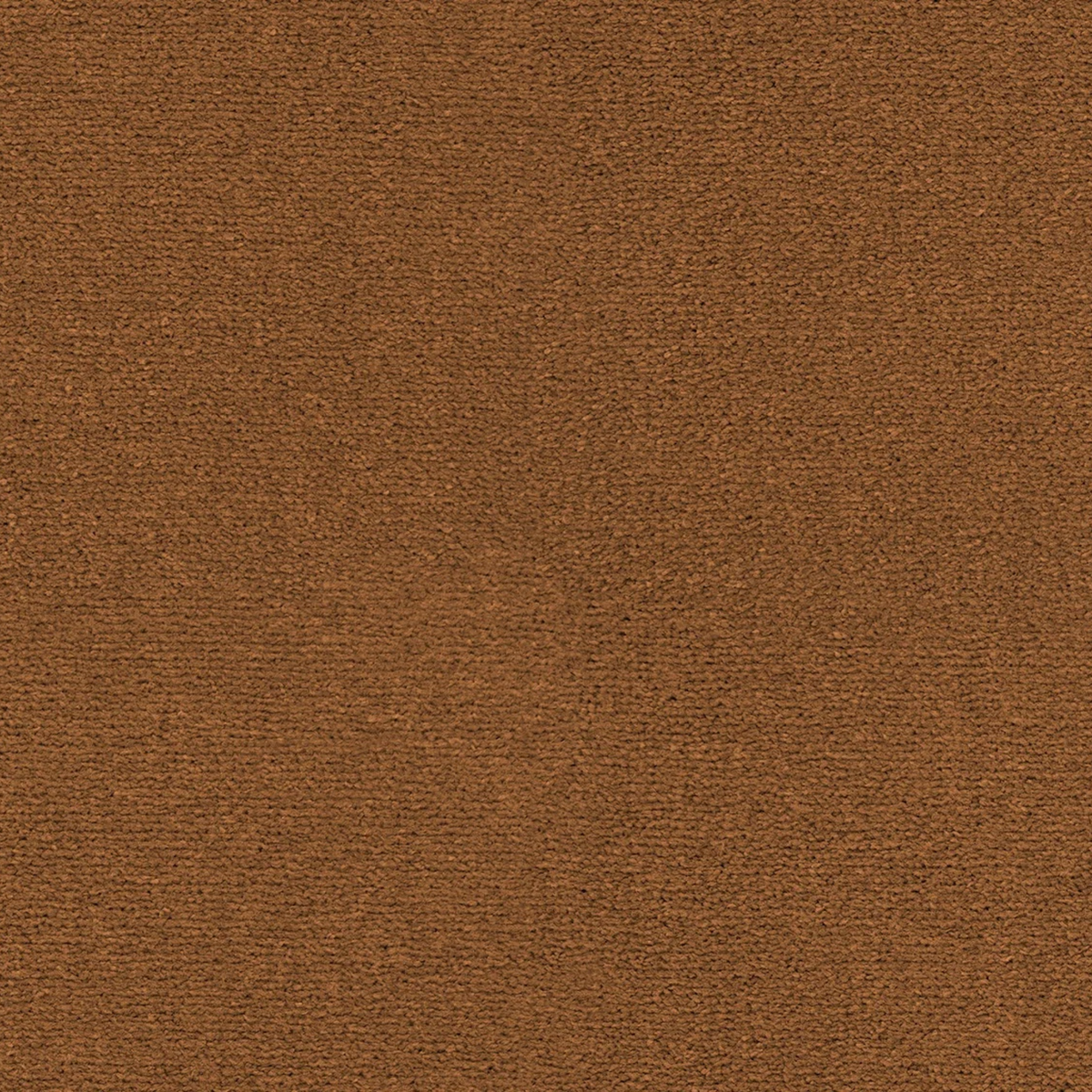 Sahara