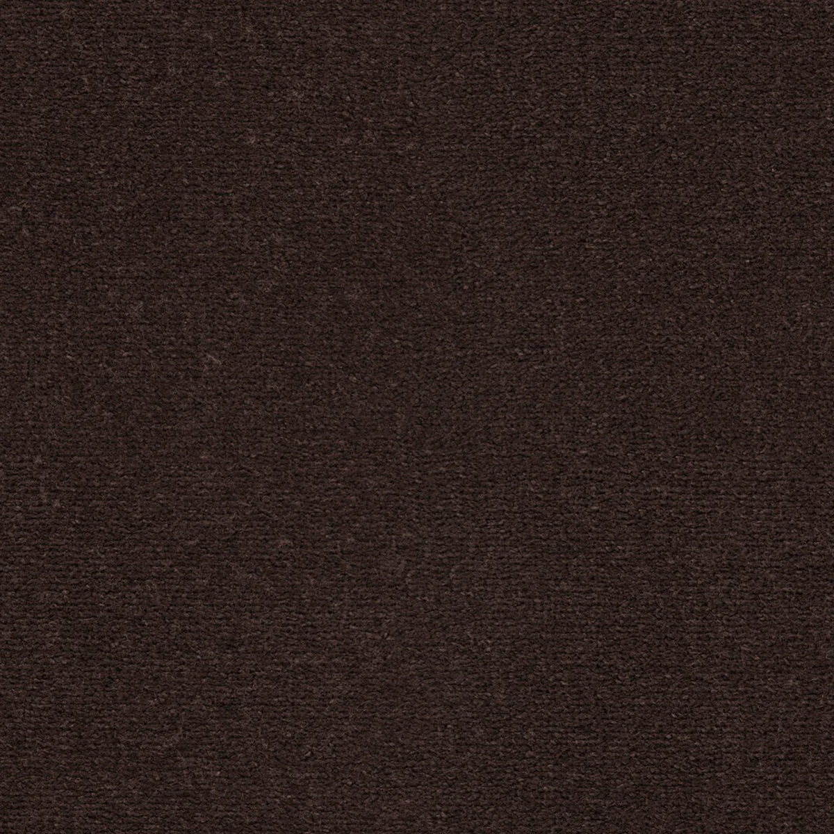 Sahara