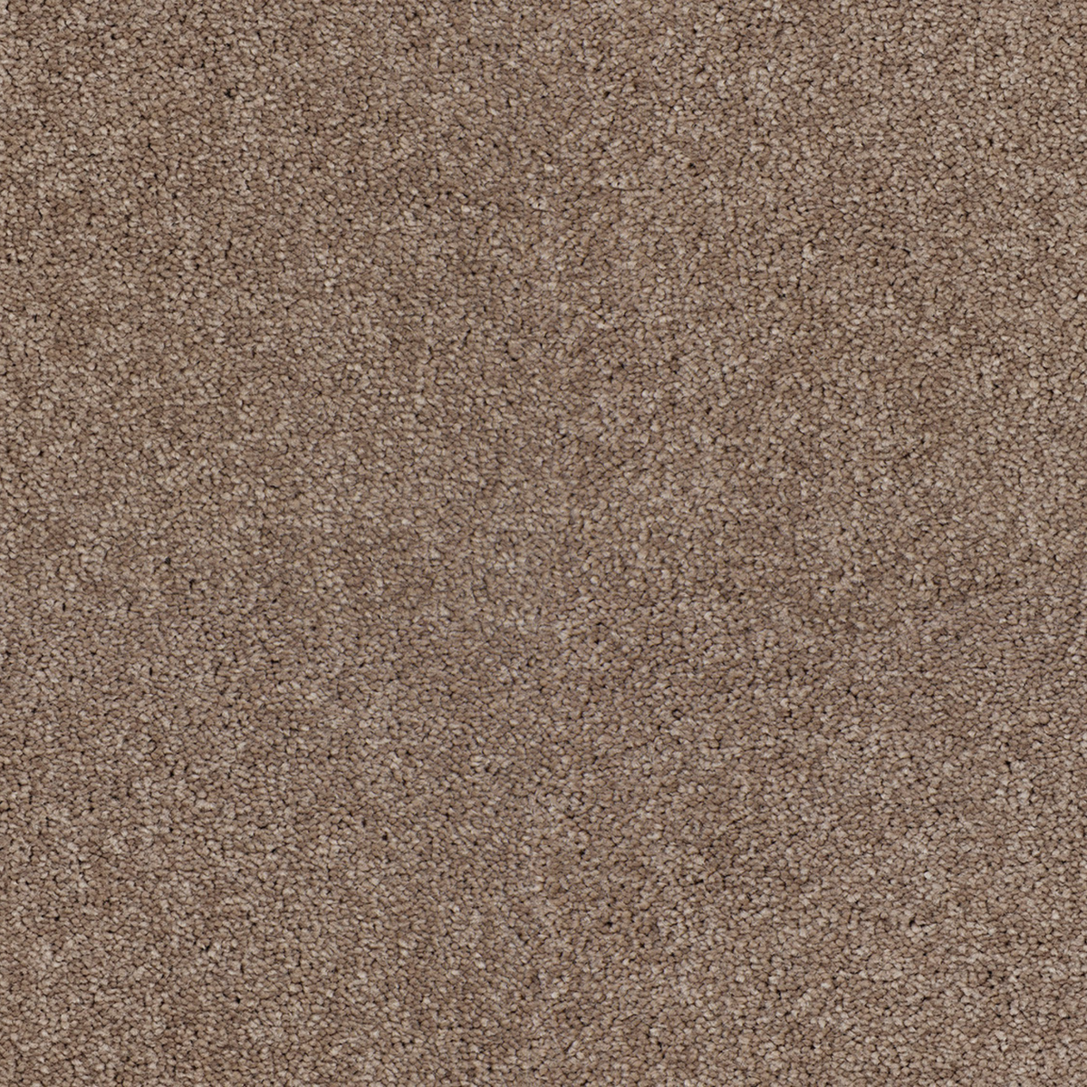 Chestnut 190
