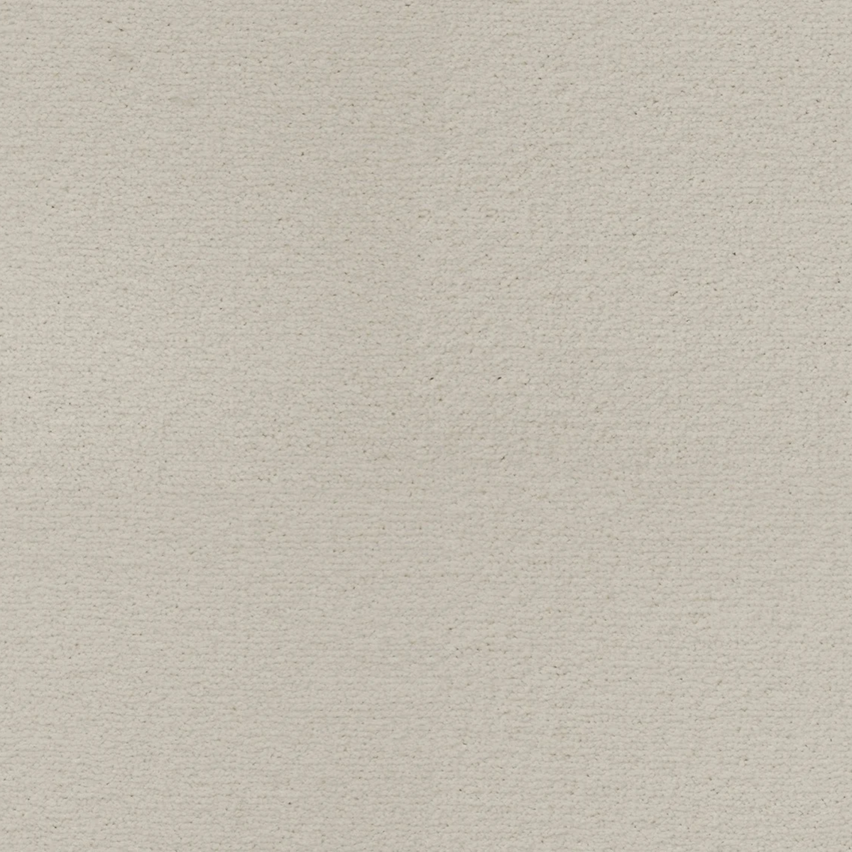 Sahara