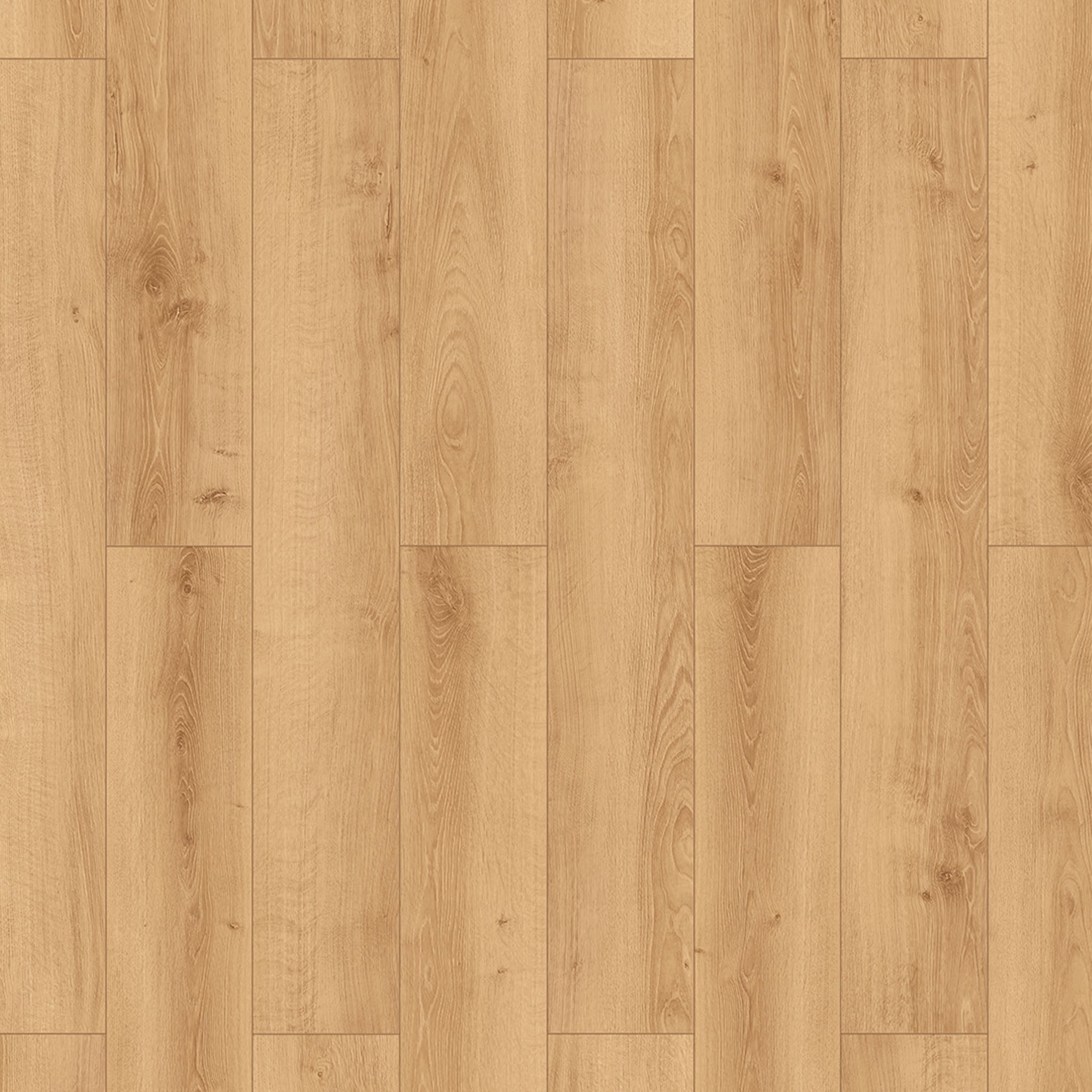 Tin Oak AC5 12mm gallery image