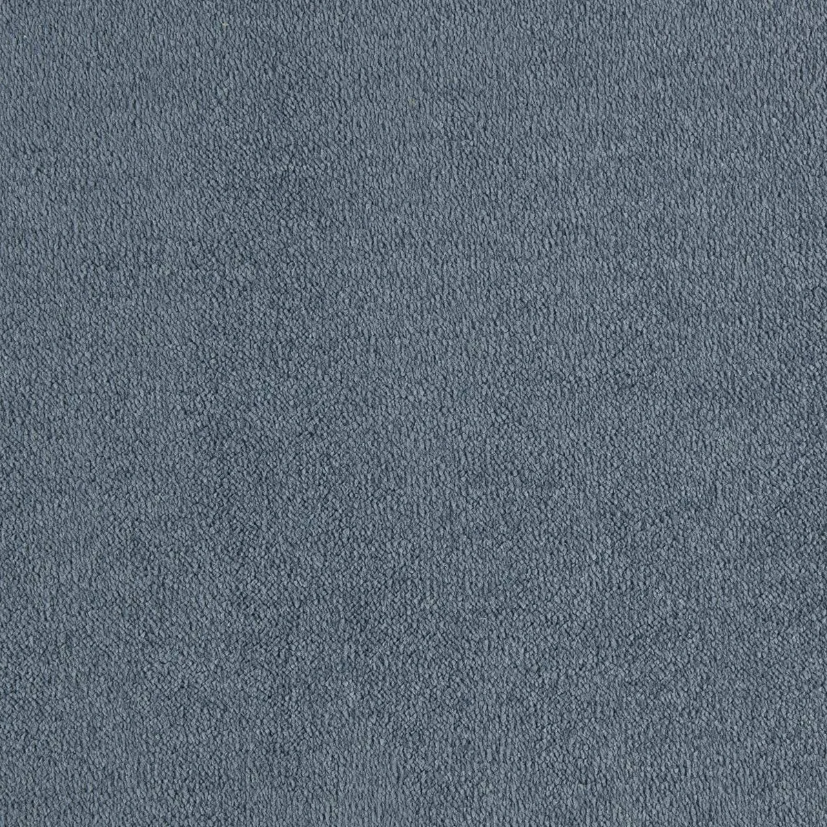 Sahara