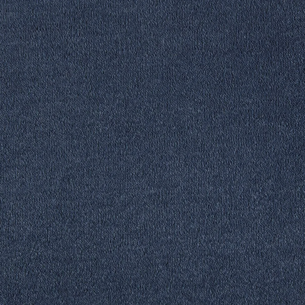 Sahara