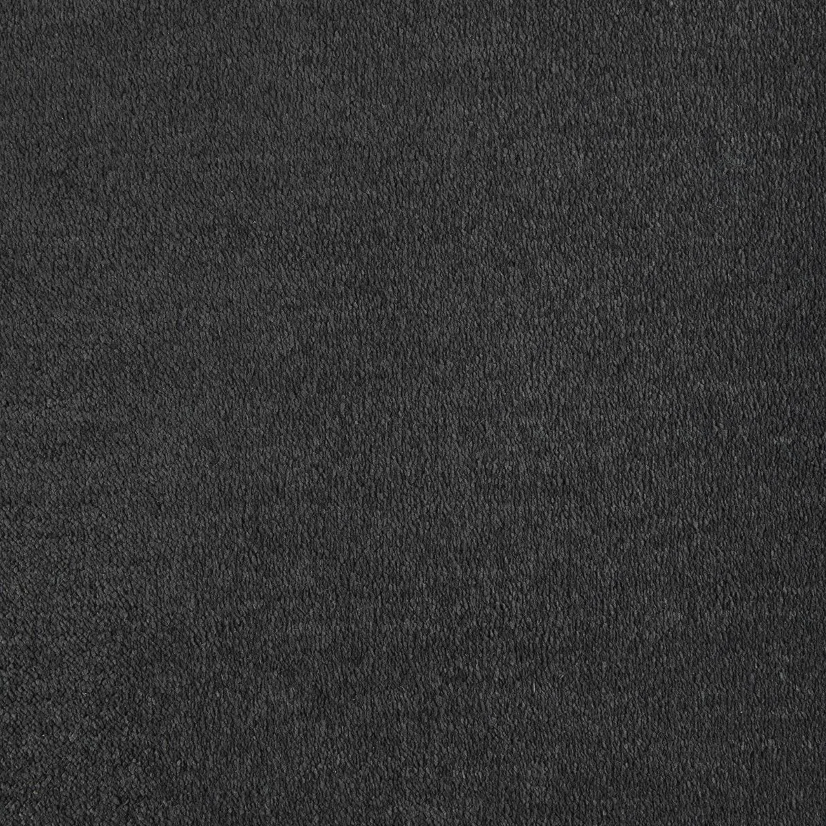 Sahara