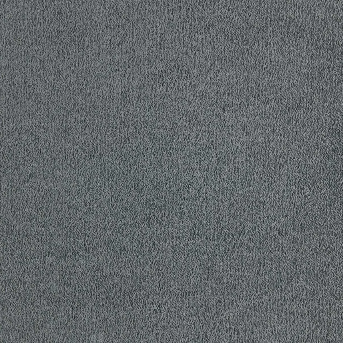 Sahara