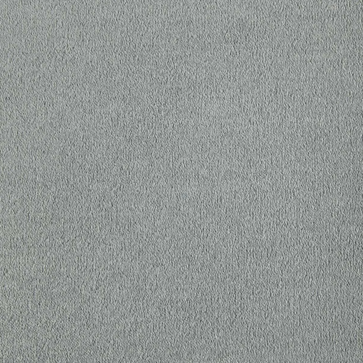 Sahara