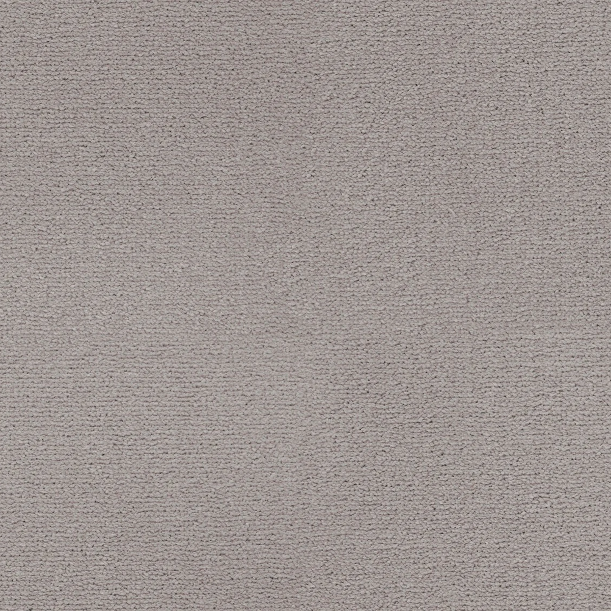 Sahara