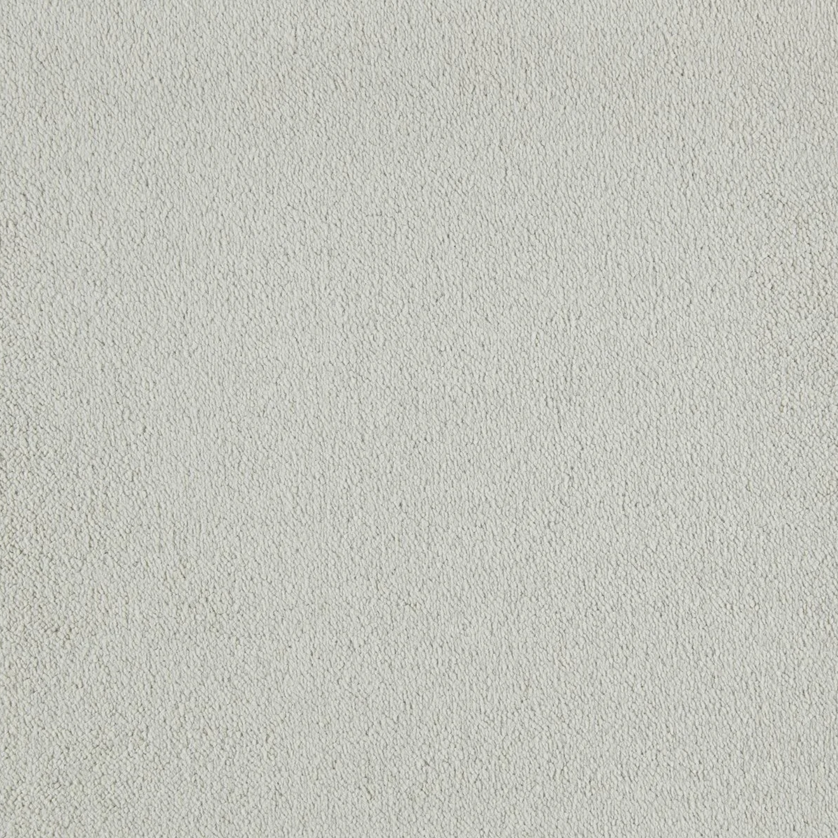 Sahara