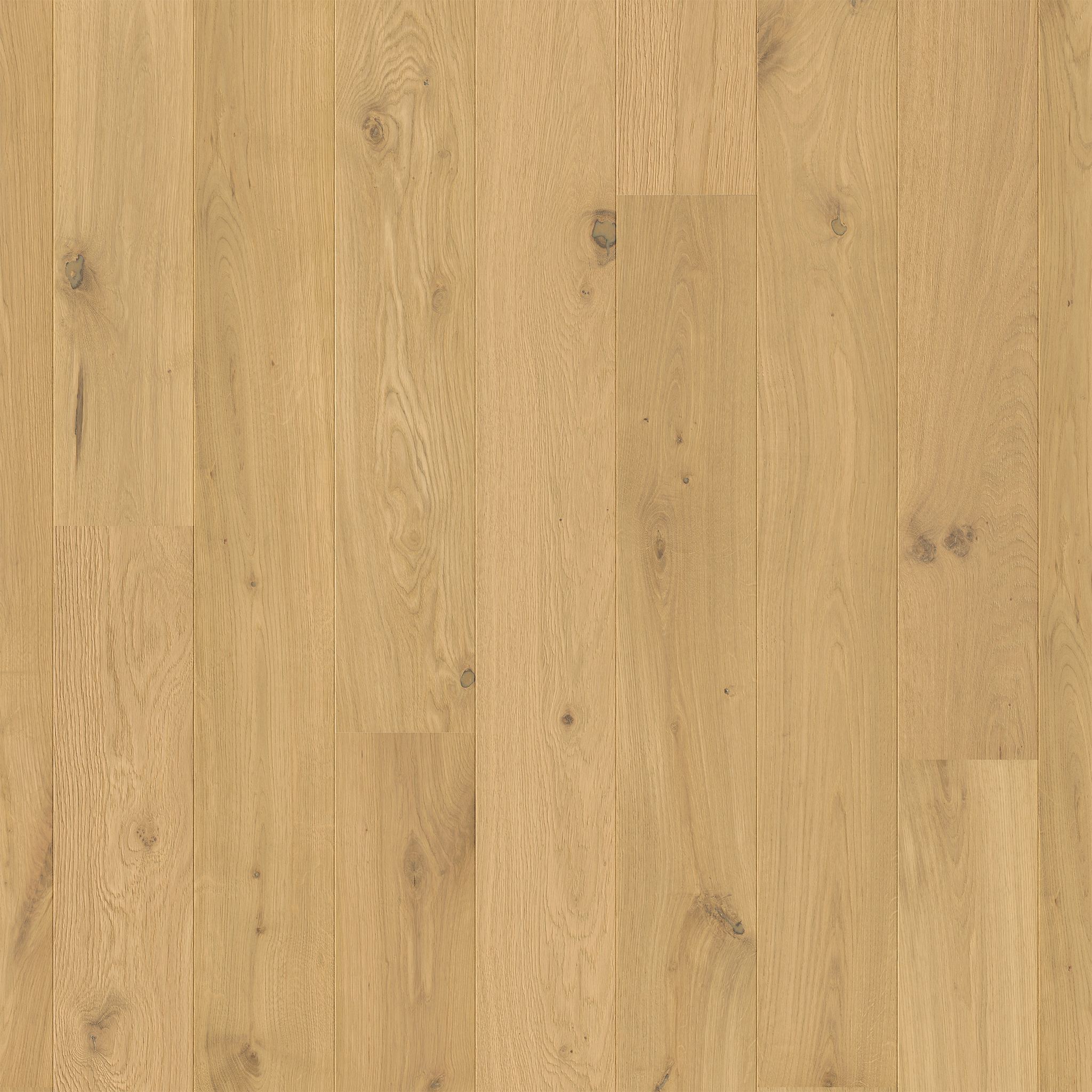 Amato Pure Oak Extra Matt