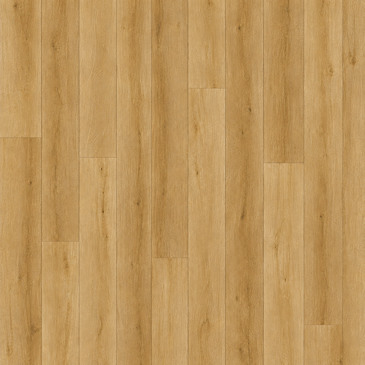 Amp Plank SPC gallery image