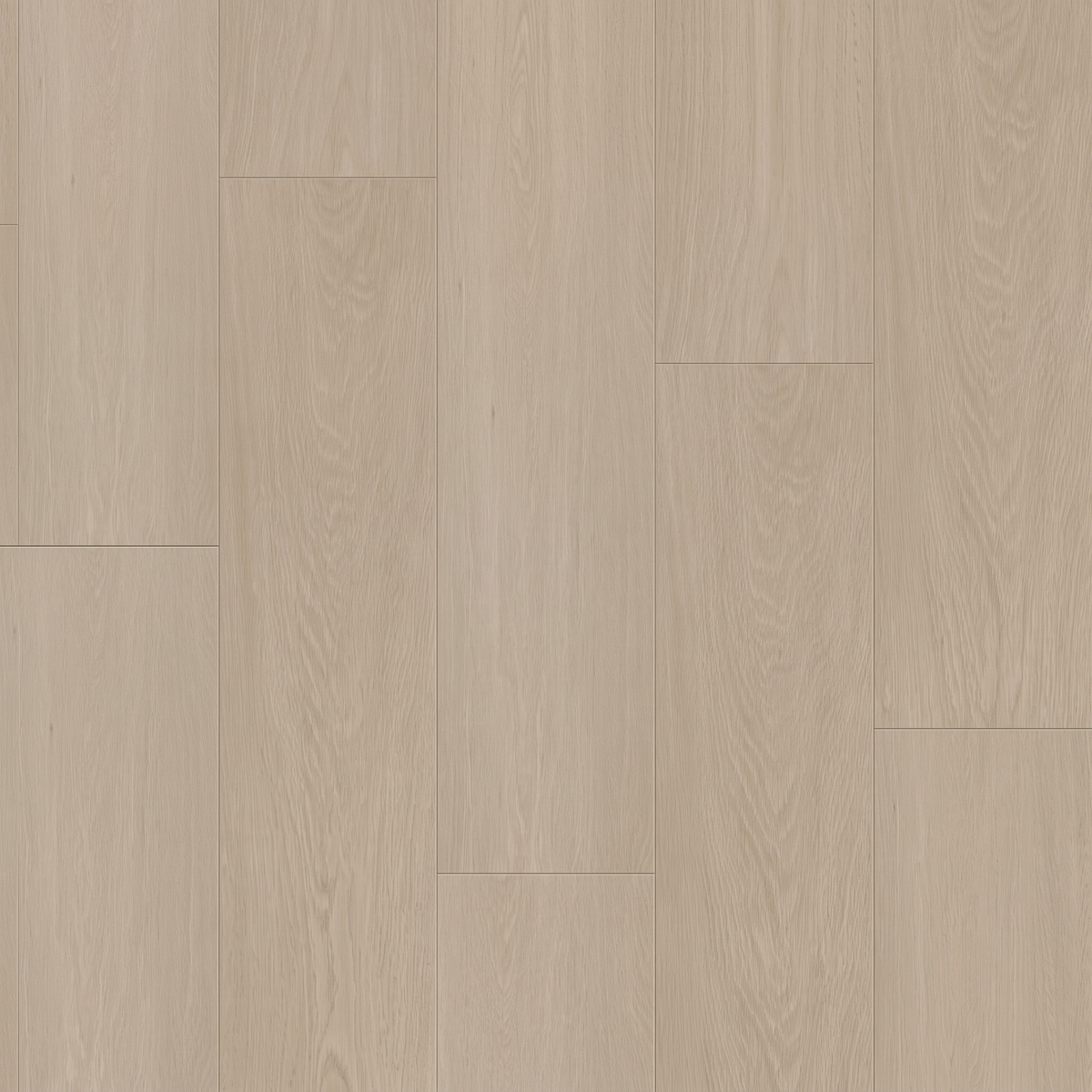 Beige Oak SPC gallery image