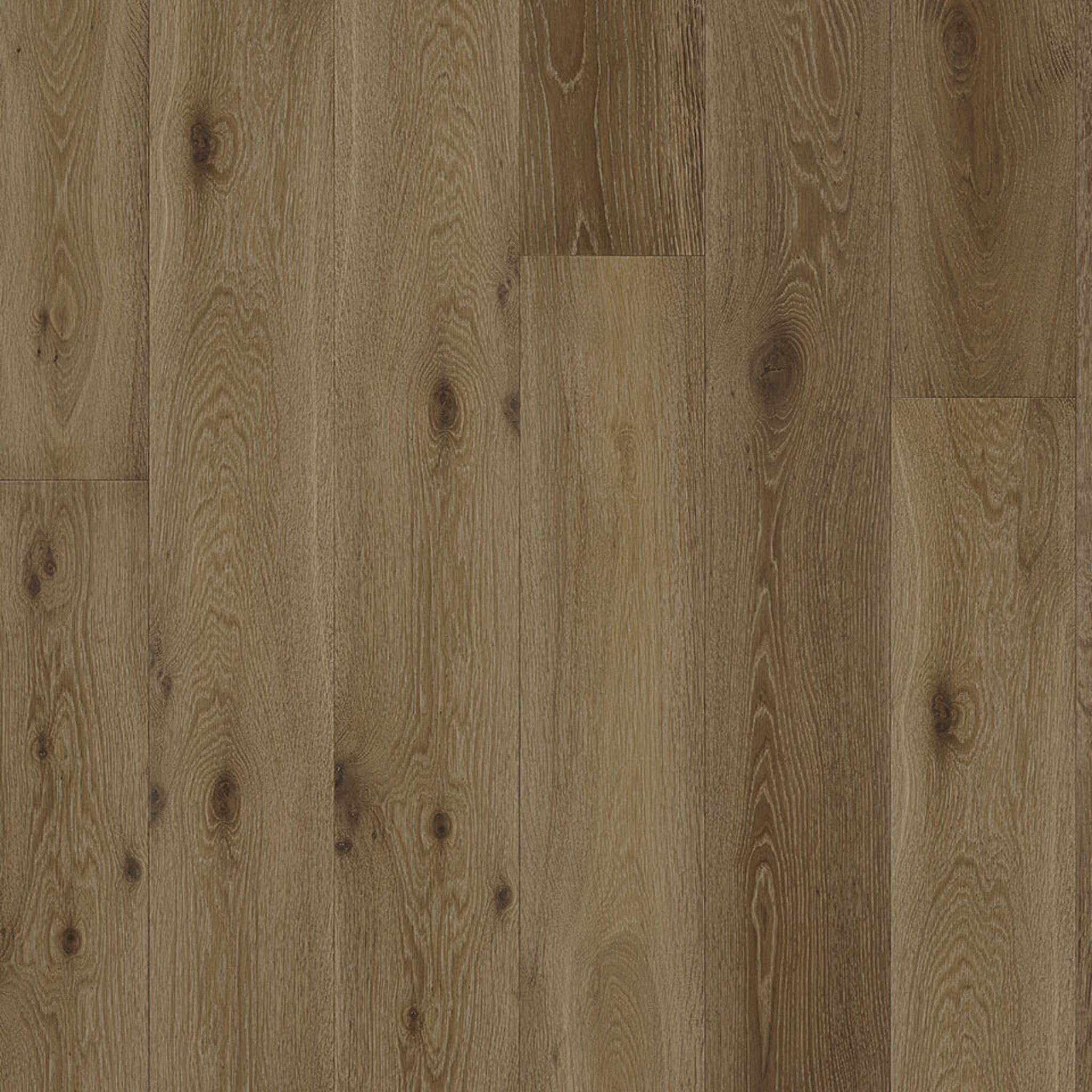 Bridge Oak Engineered Plank 14mm gallery image