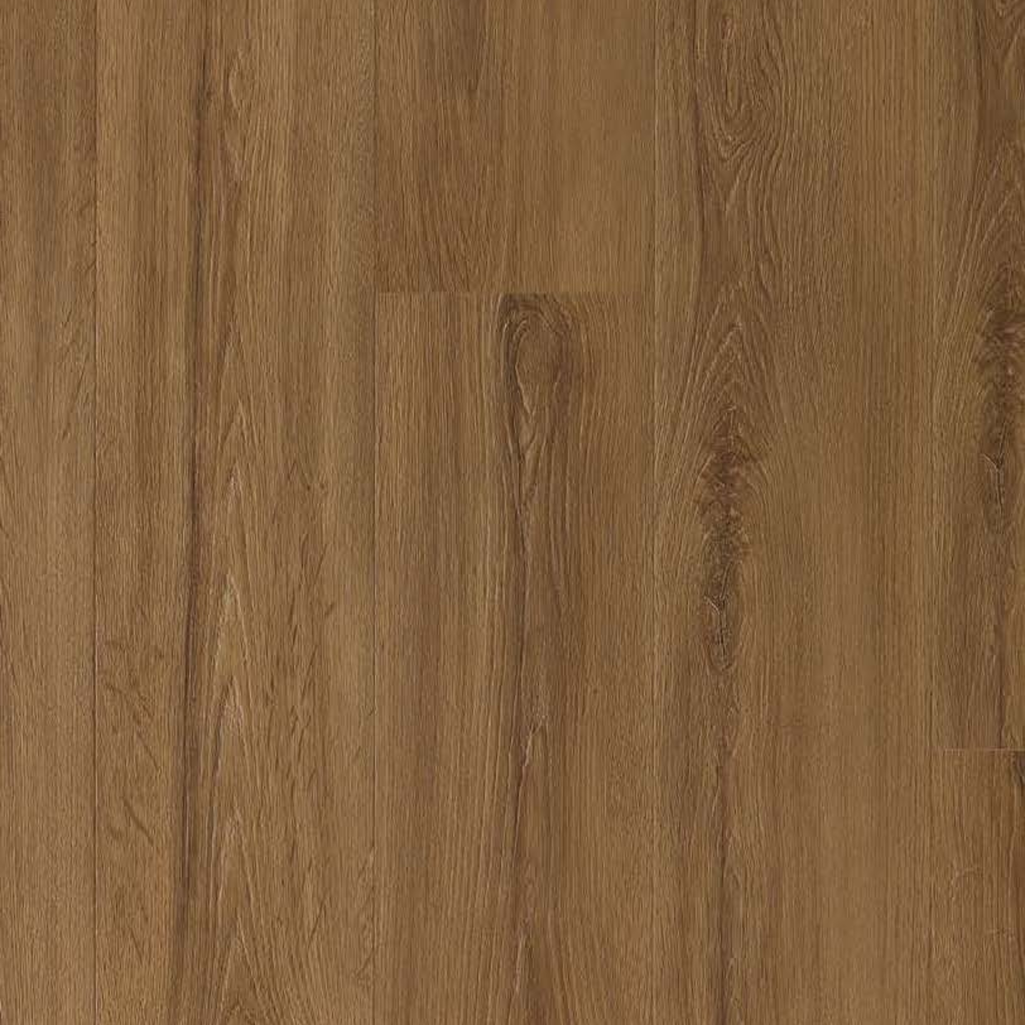 Chester Oak SPC gallery image