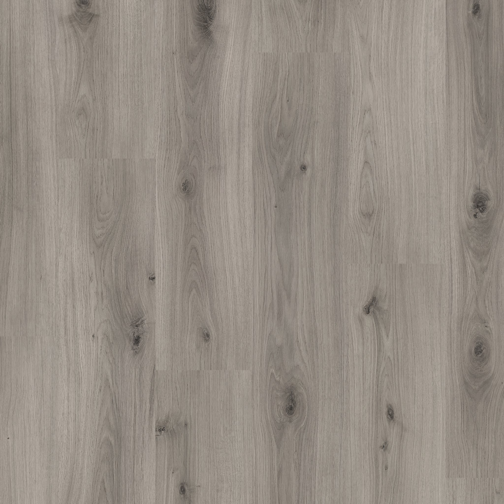 Misty Oak 12mm AC5 gallery image
