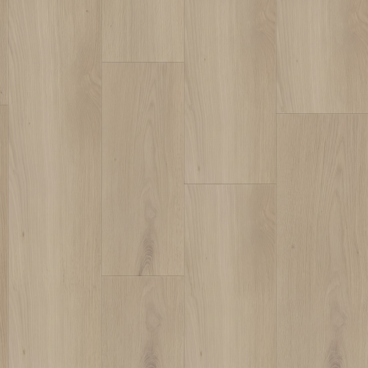 Golden Oak SPC gallery image