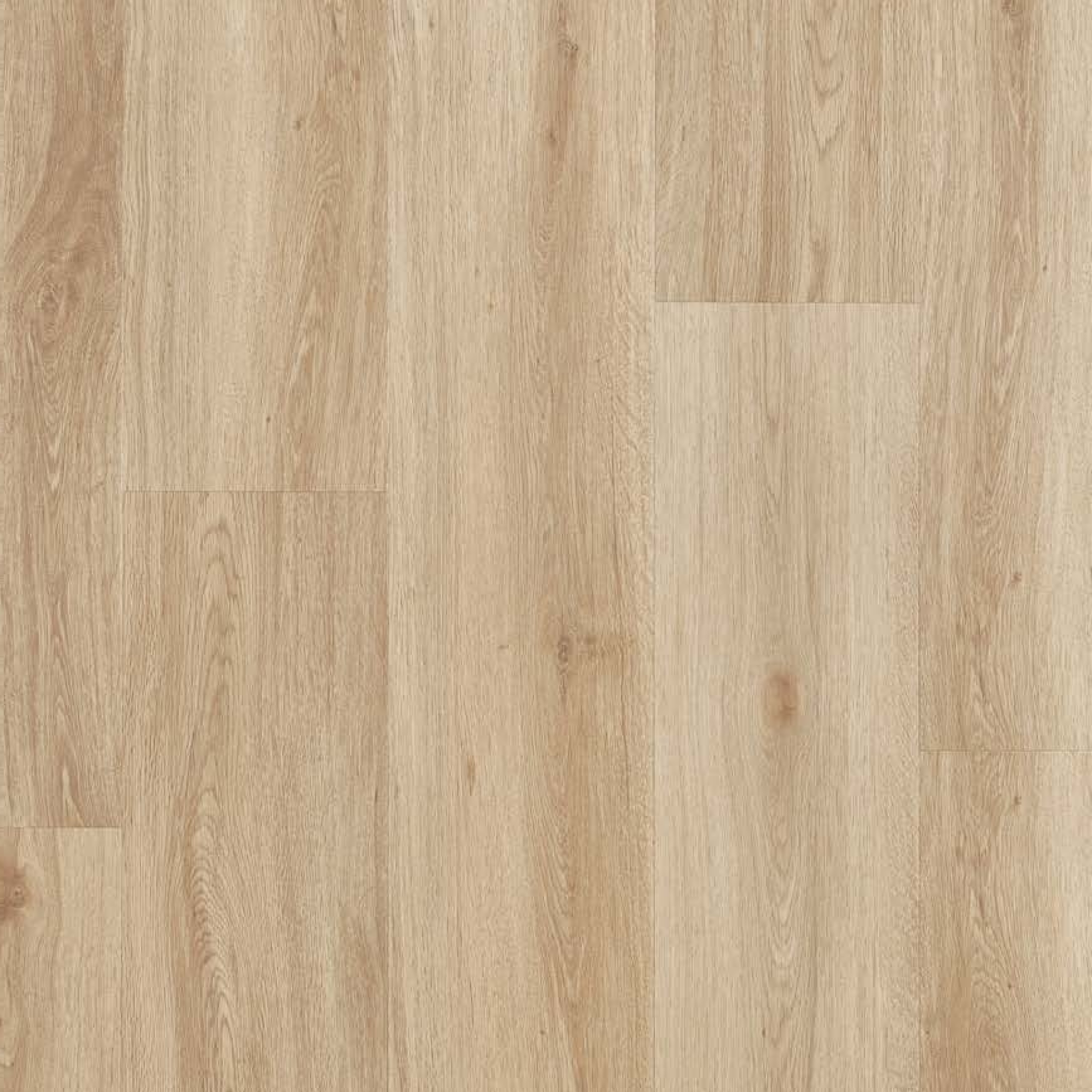 Low Oak SPC gallery image