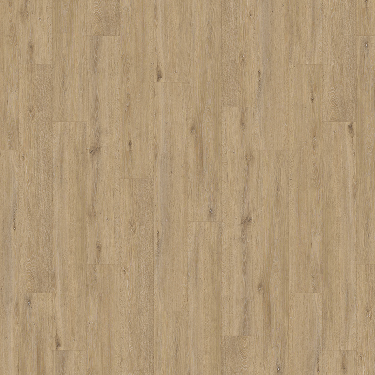 Miami Plank SPC gallery image
