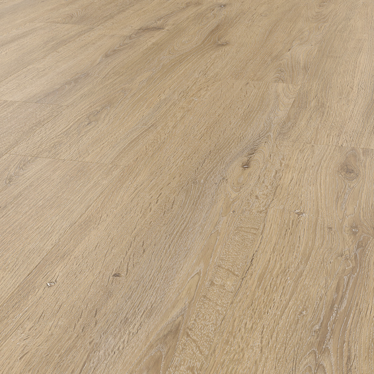 Miami Plank SPC gallery image