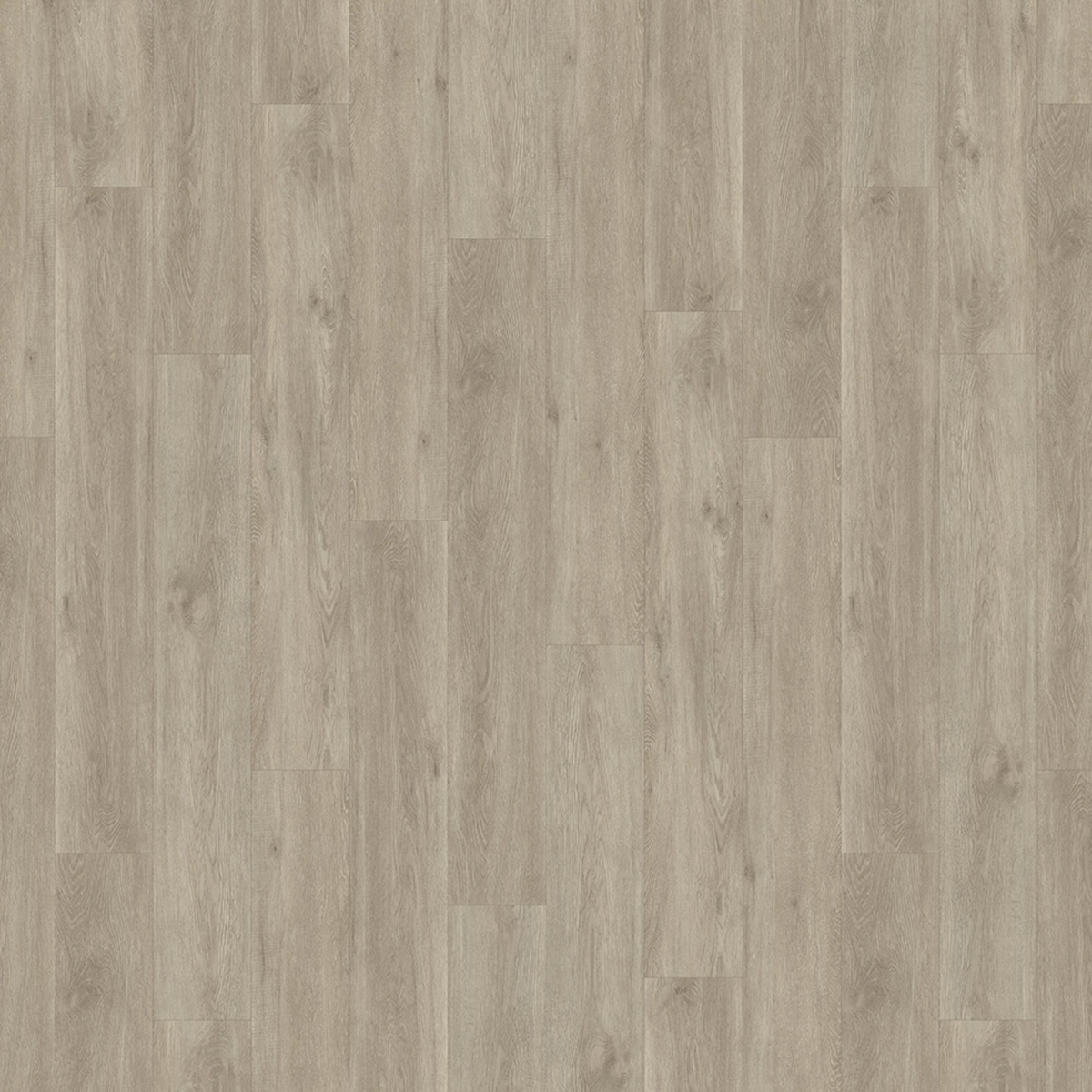 Michigan Plank SPC gallery image