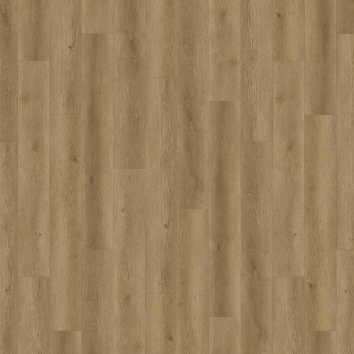 Nevada Plank SPC gallery image