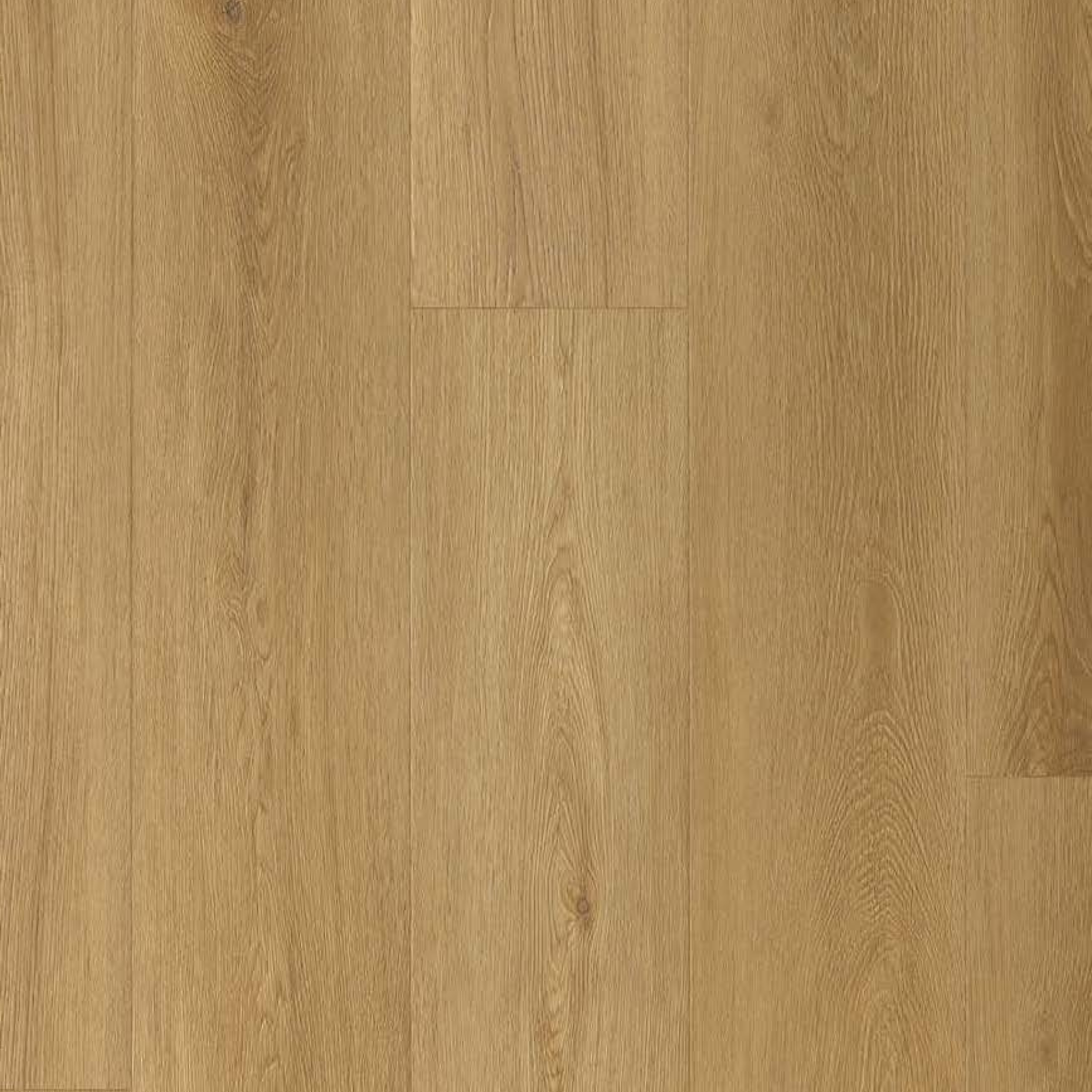 Nor Oak SPC gallery image