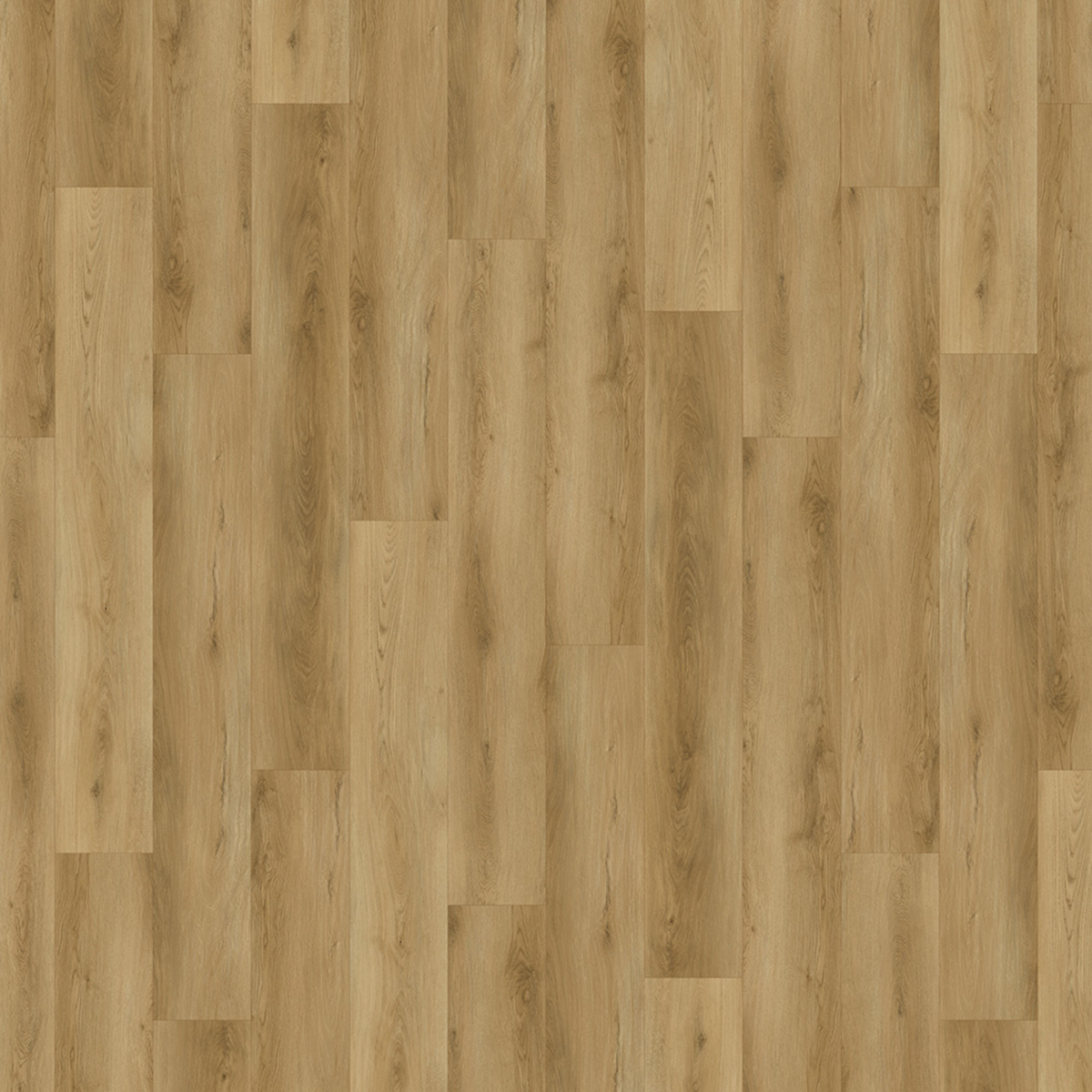 Philadelphia Plank SPC gallery image